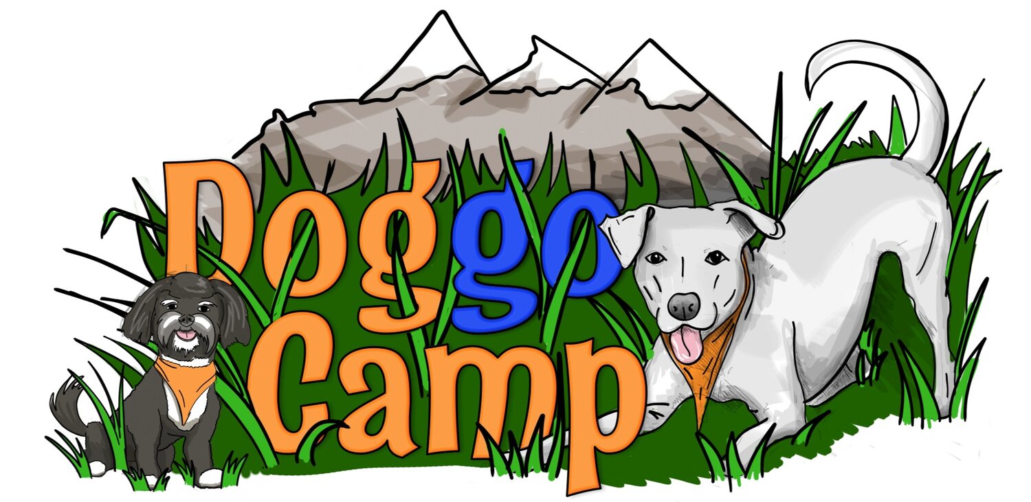 Doggo Camp - Adventures and Overnights!