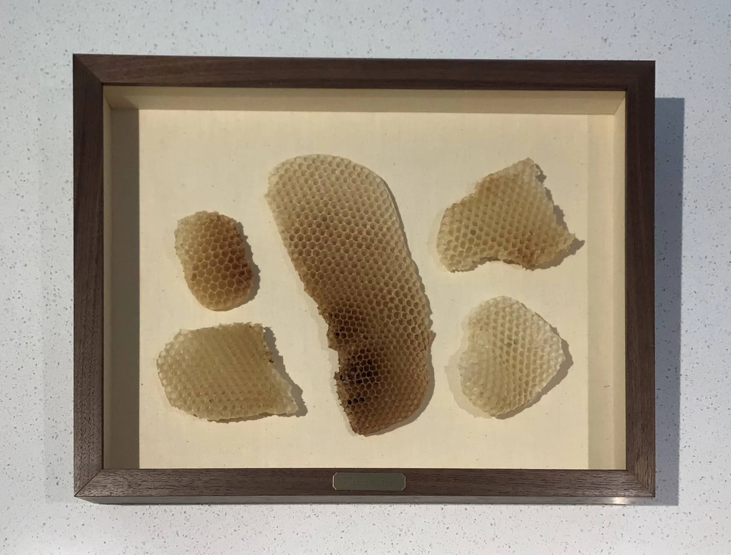Fall 2022 - Cool Things We’ve Framed Lately