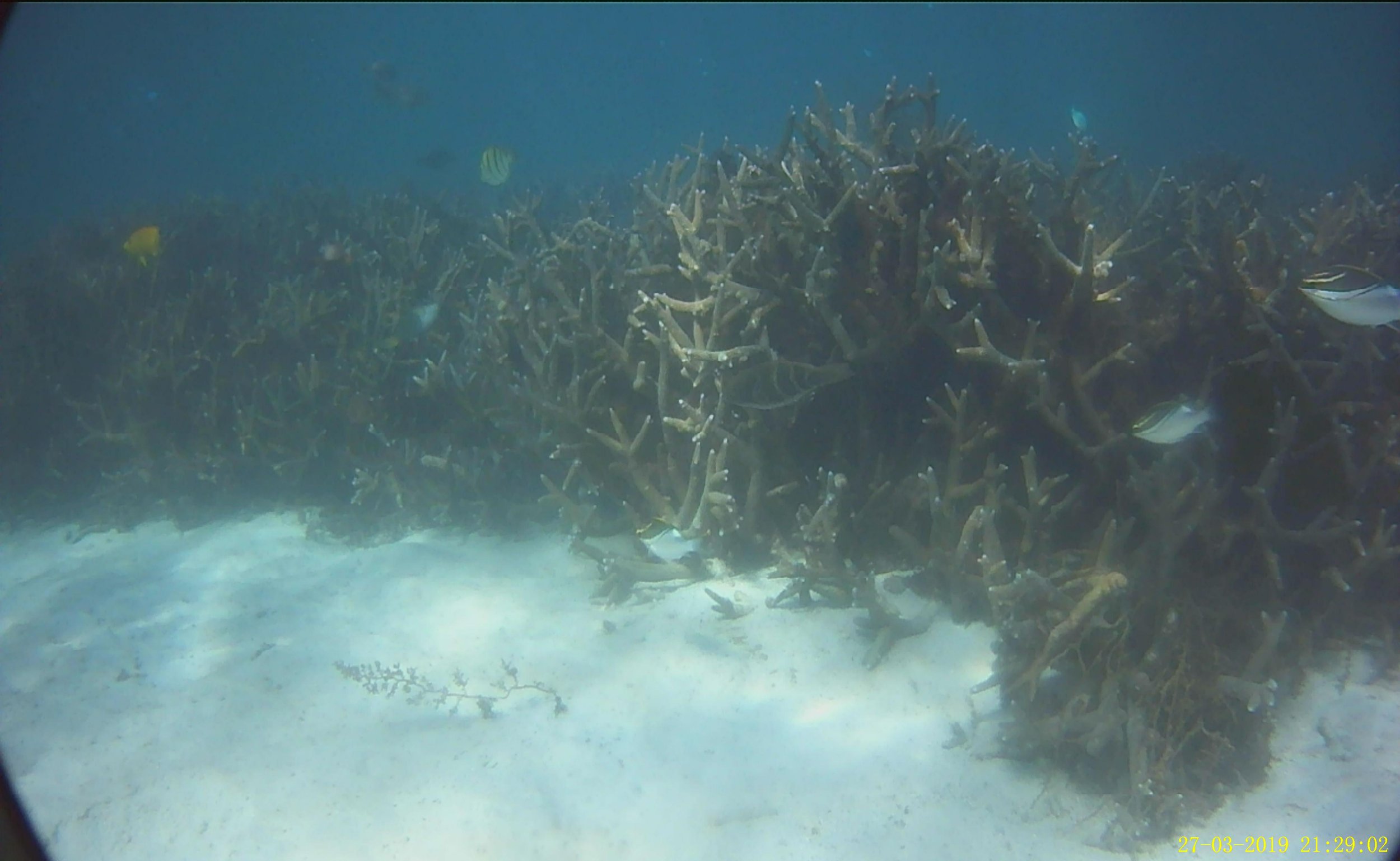 IMG_0774.JPG