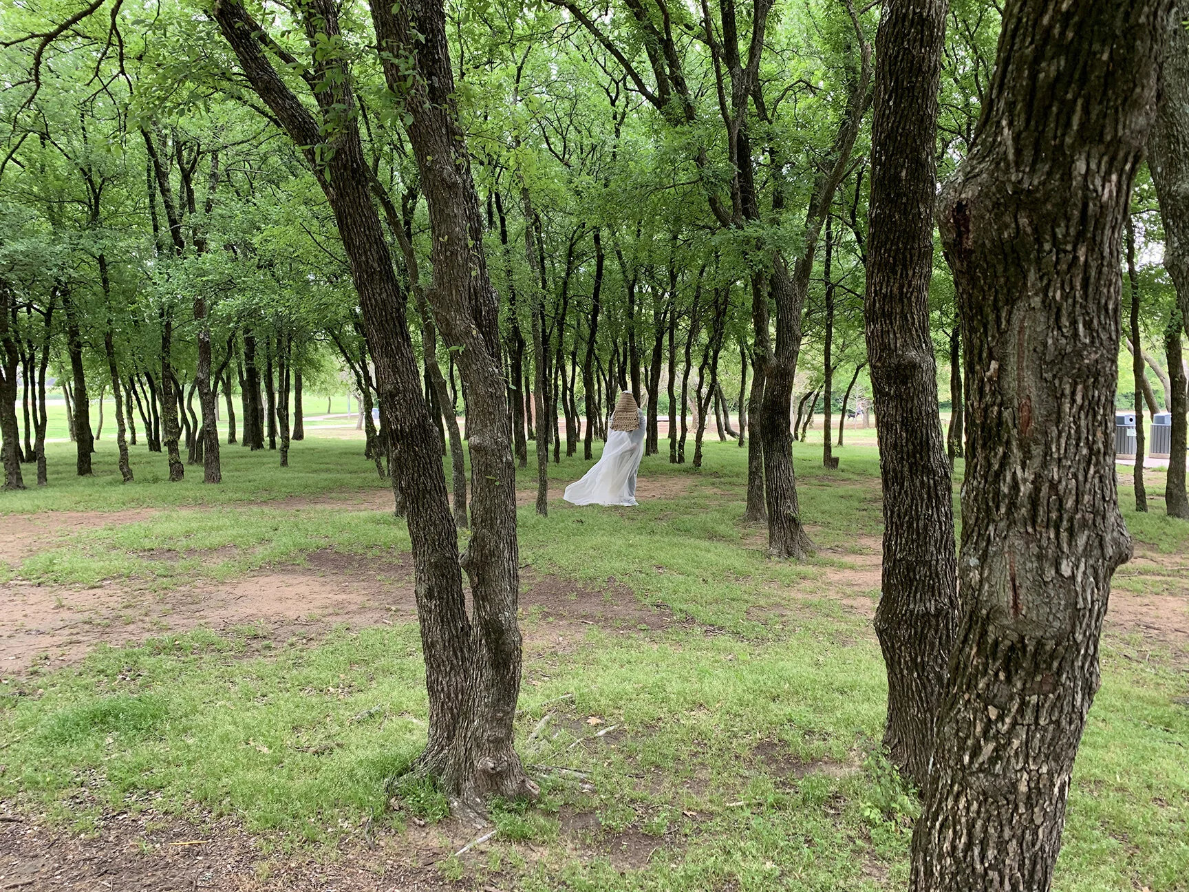 Green Dimension, 24x18in-3.jpeg