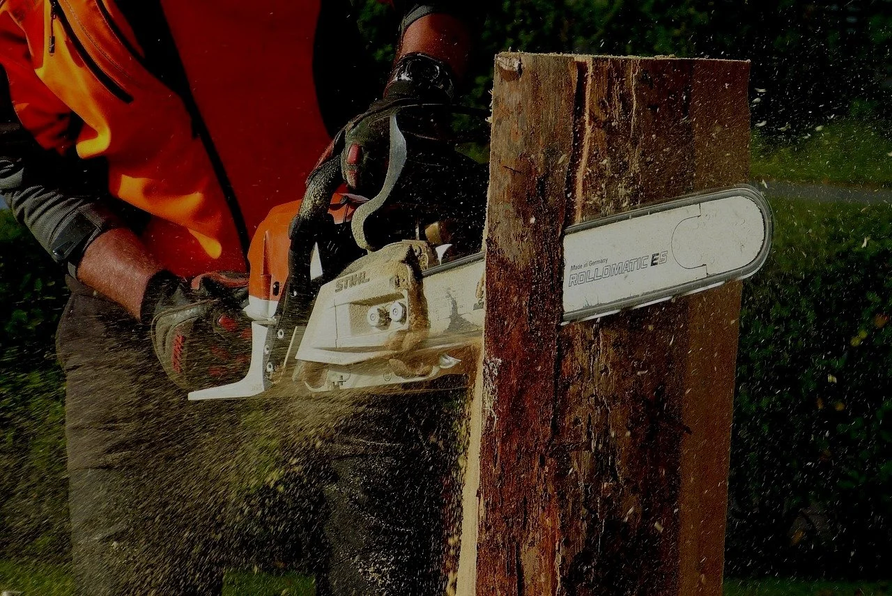 Pacific Tree Care gallery 3
