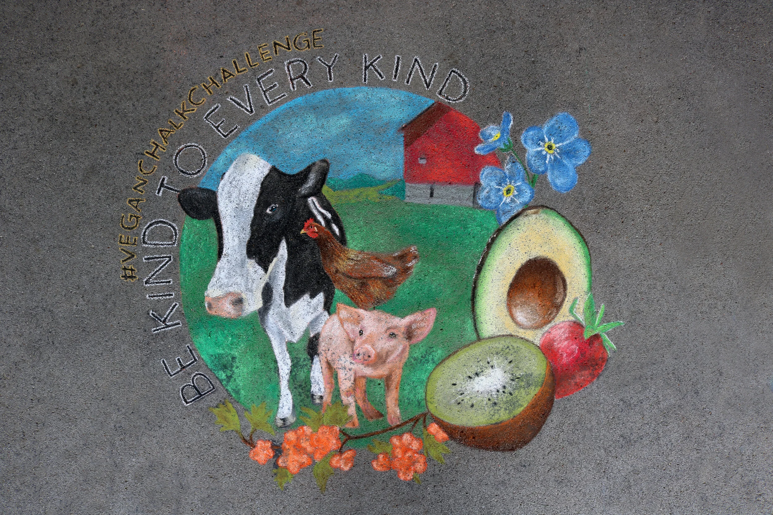 Vegan Chalk Challenge 2017.JPG