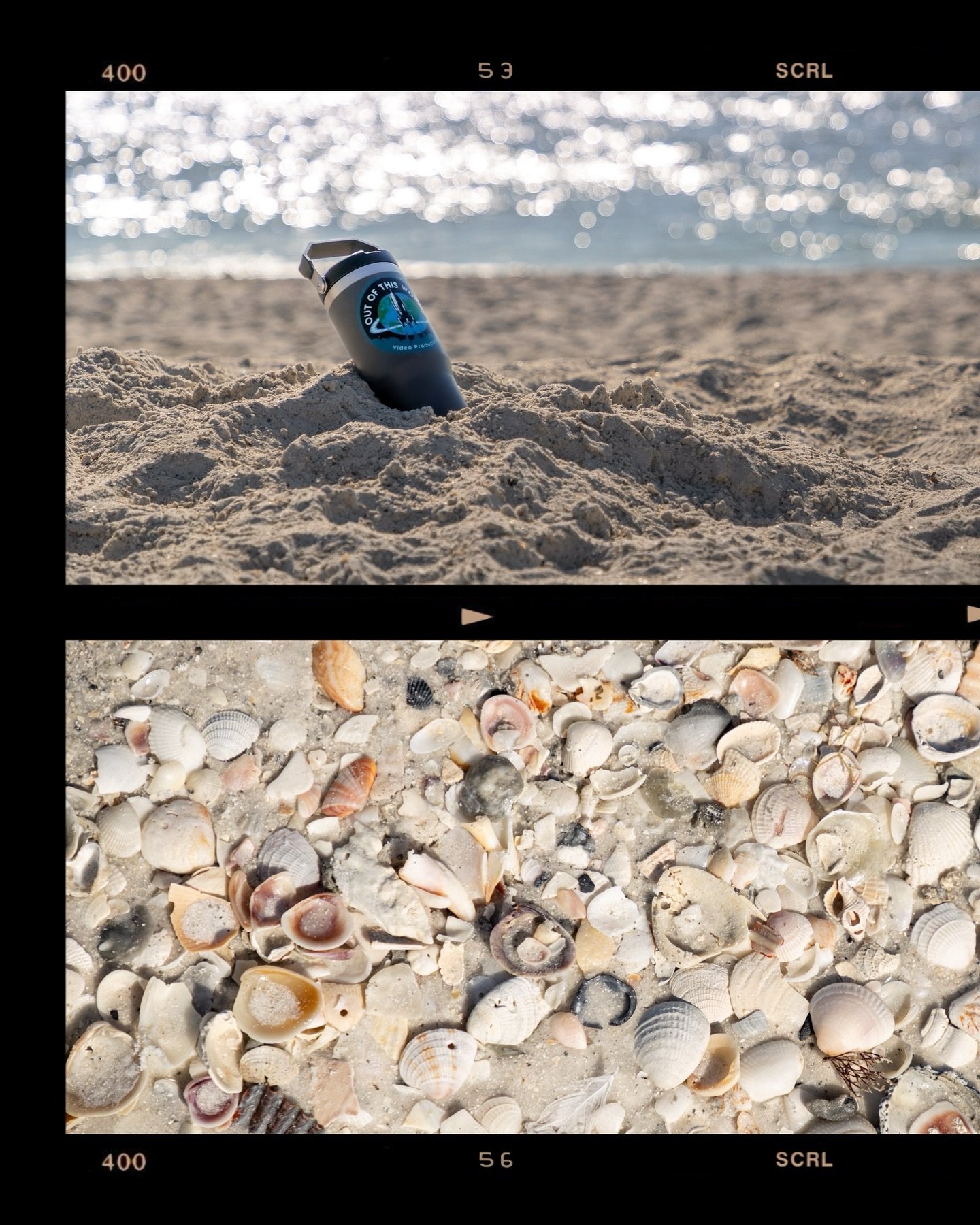 Greetings from Florida! 📸 🐊 

We recently traveled down to Sarasota to visit friends, do some exploring, and enjoy beach time. We couldn't miss this opportunity to snap some pics of the locals. 

Shot on Canon R5ii
@canonusa @canonusaprovideo 
PC: 