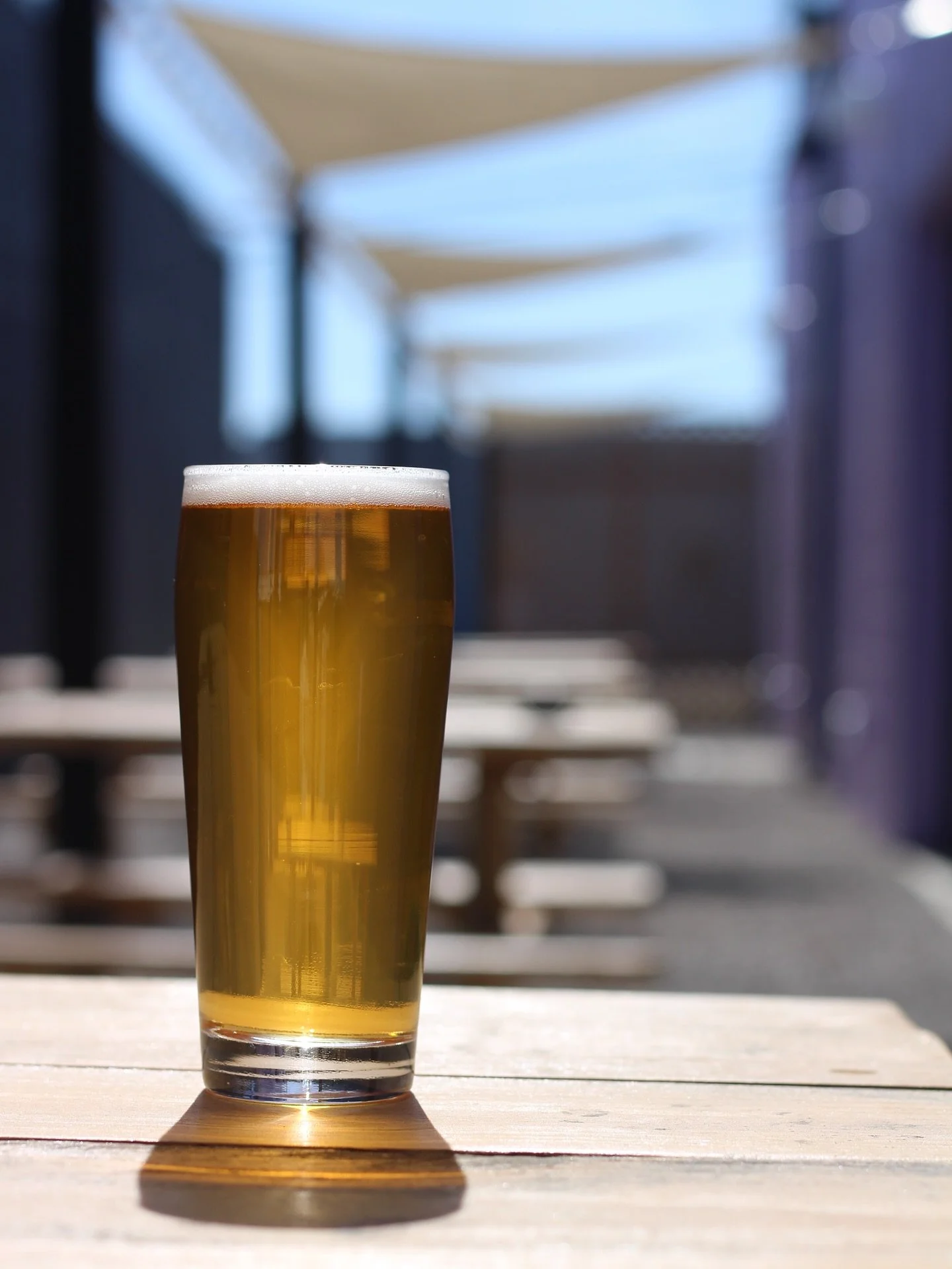 Patio photo because we live out here until it&rsquo;s cold again! Join us 👽 

Ft. Gold Tooth, our blonde ale 
Photo by our very own @killerdirtyfame