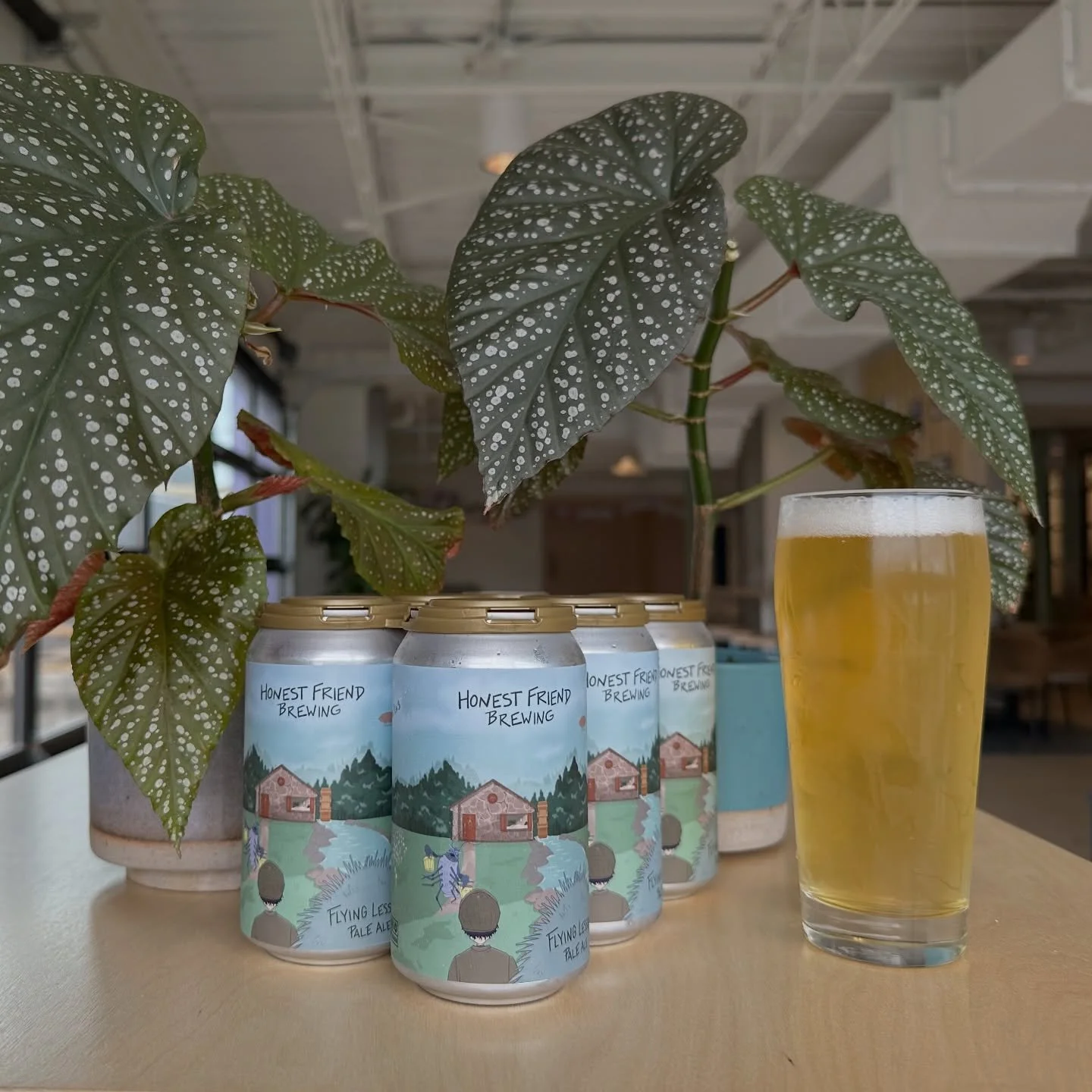 Flying Lessons Pale Ale (&amp; the first beer we ever made) is now available in six packs! The label makes up the third chapter in this season&rsquo;s story. To celebrate we also put her back on tap. 

Crisp with a zesty citrus lift and a fresh cut g