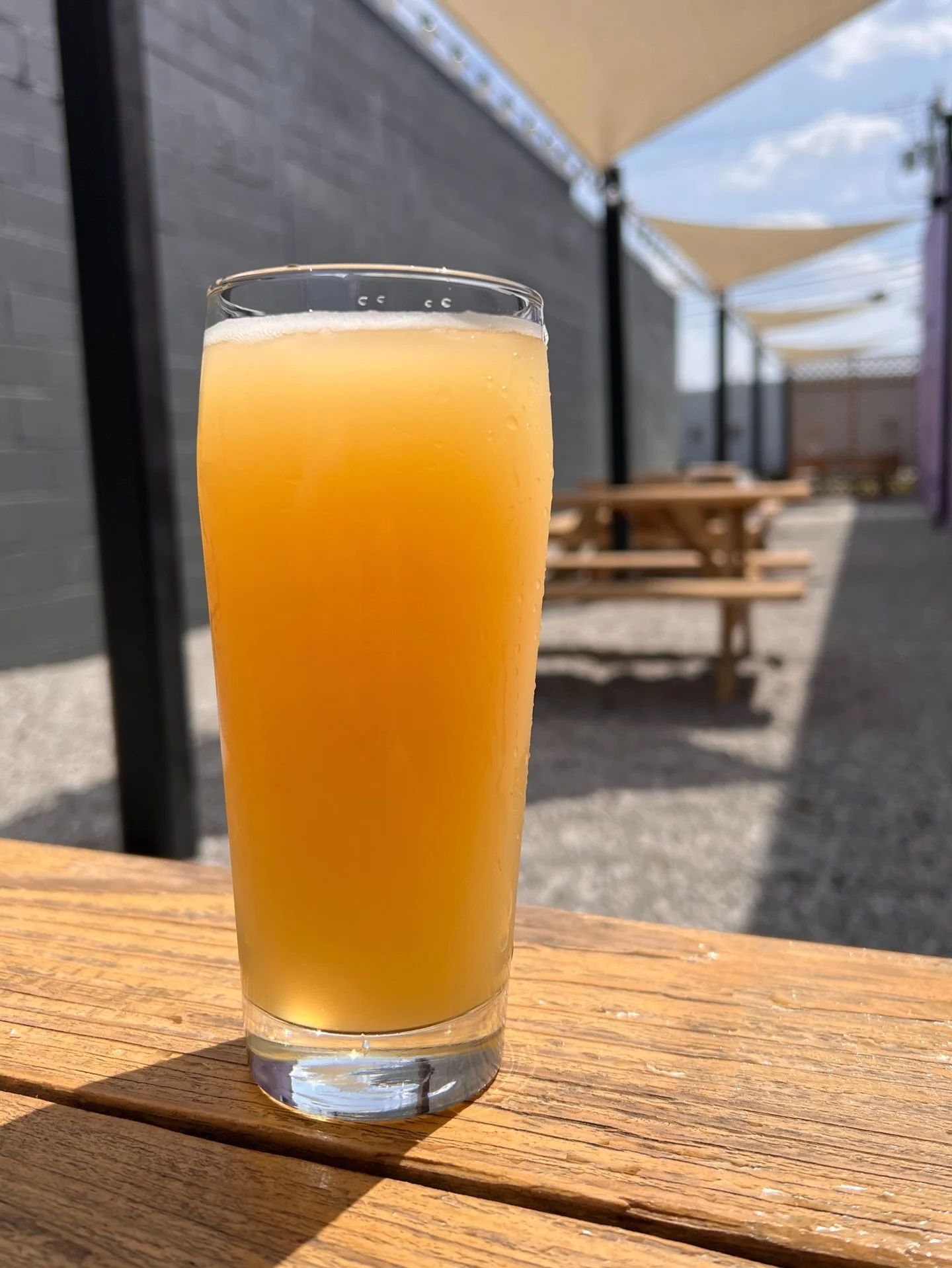 Paper Cloud is back and it&rsquo;s hazier than ever! This recipe features an updated malt bill and five different hops: Citra, Comet, Centennial, El Dorado, and Mosaic. 

If you loved elder Paper Cloud, you&rsquo;ll capital L Love this.