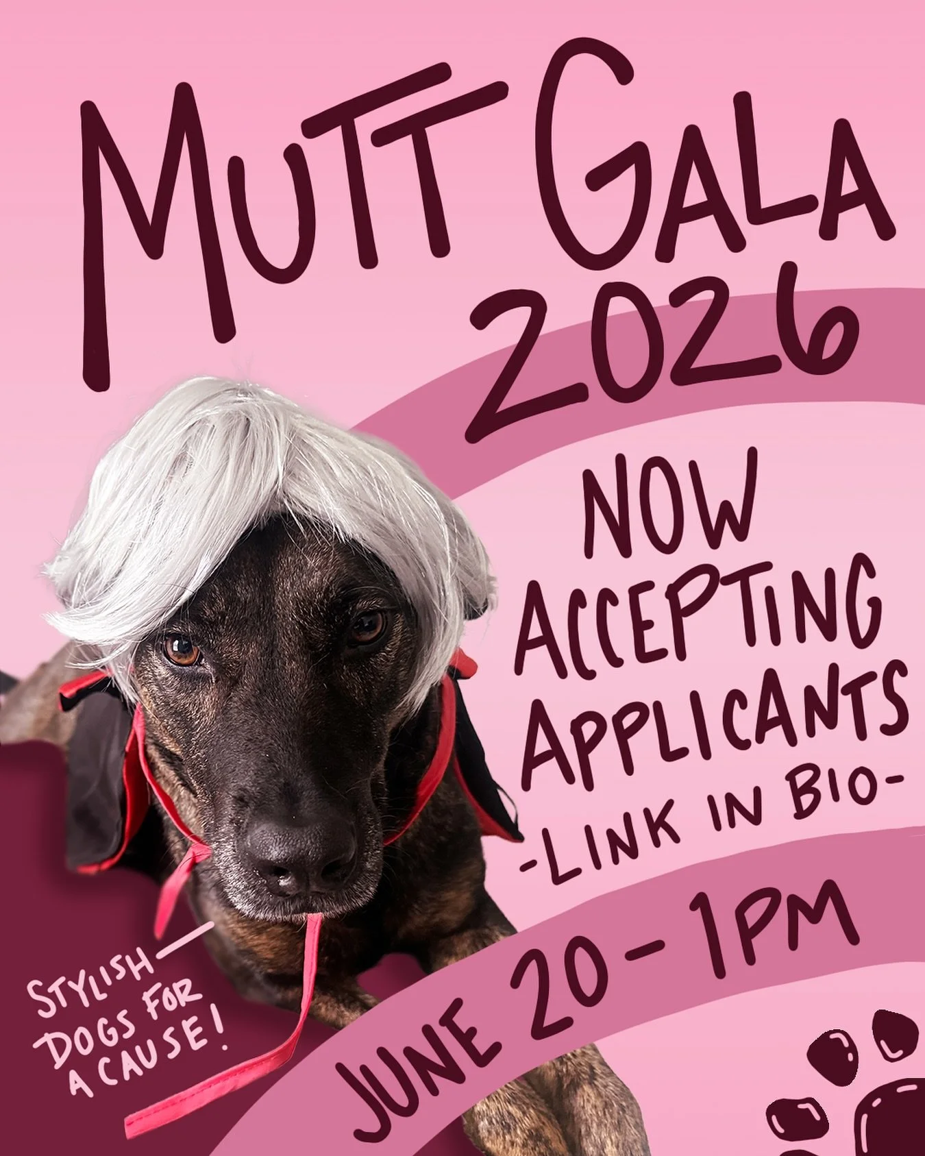 Someone wrote &ldquo;dog fashion show&rdquo; in our feedback box so here we gooo. Does your dog have what it takes? (Is friendly, is okay wearing clothes for 2 minutes, can command a runway) If so, please apply via the link in our bio! Mutt Gala 2026