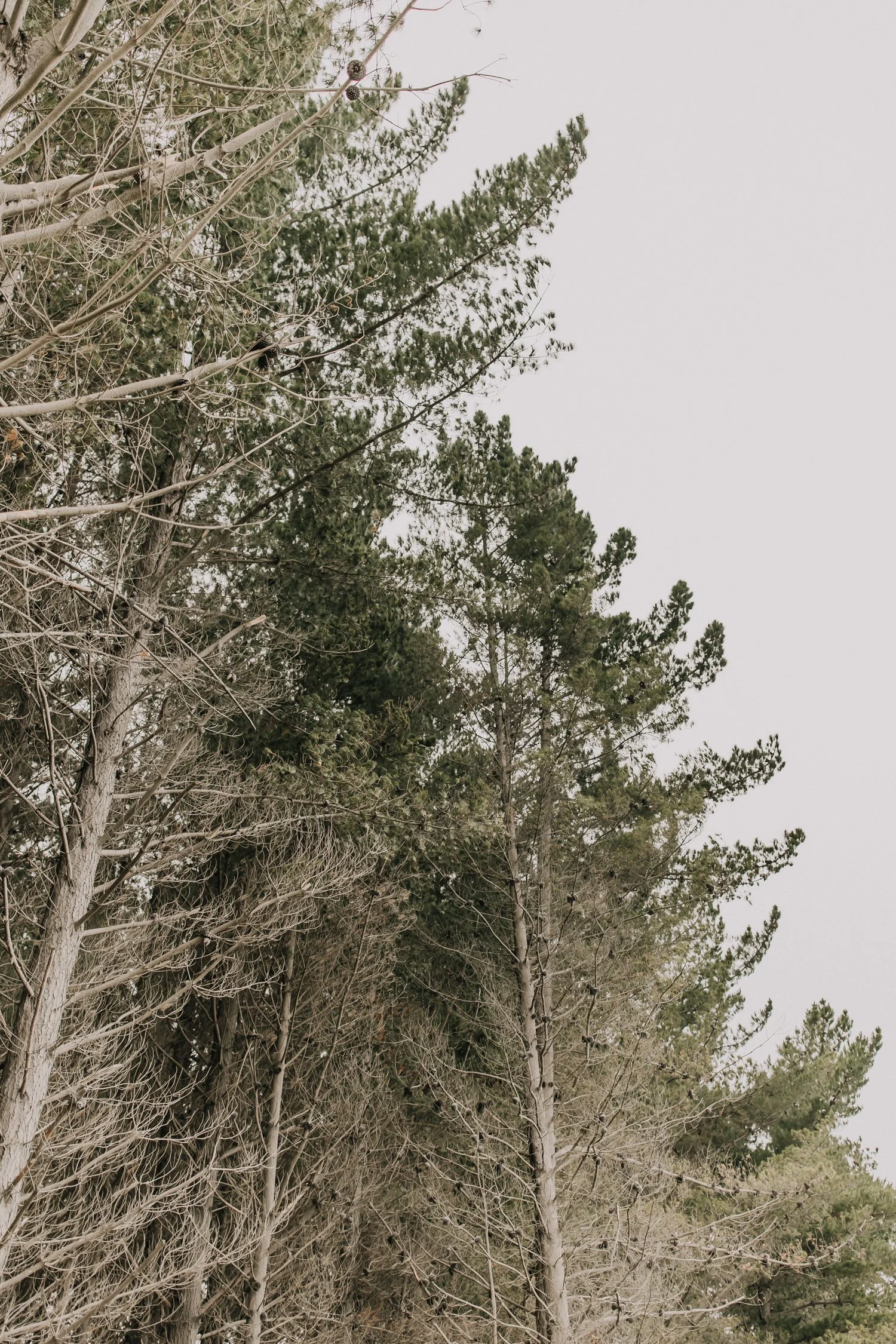 sophiemilsonphotography-1.jpg