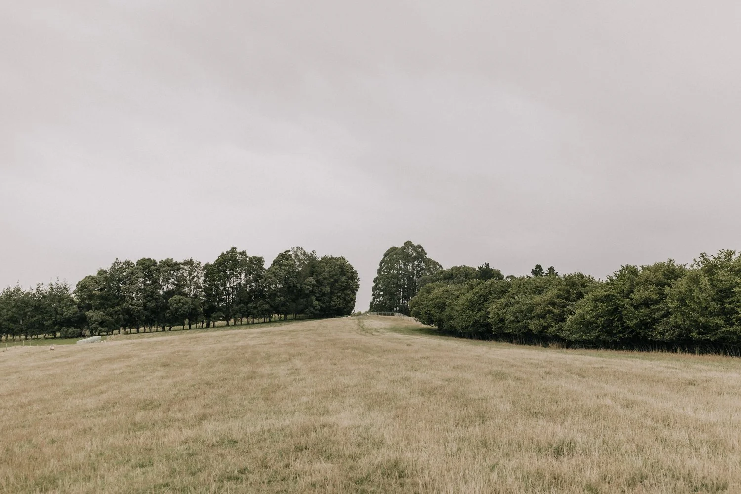 sophiemilsonphotography-15.jpg