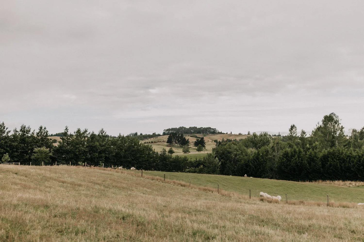 sophiemilsonphotography-64.jpg