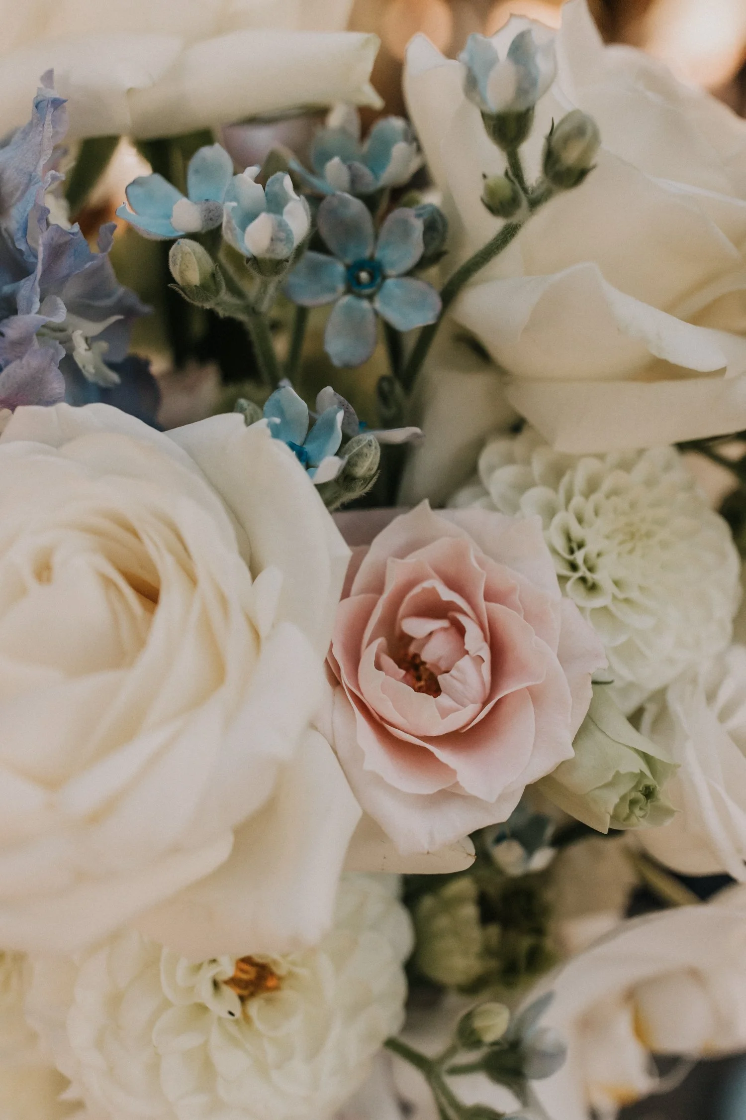 sophiemilsonphotography-176.jpg