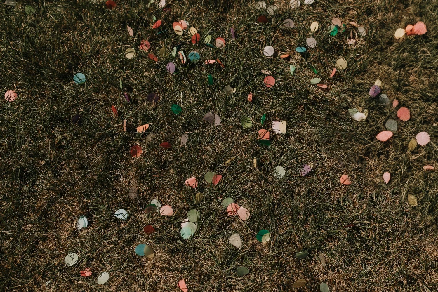 sophiemilsonphotography-190.jpg
