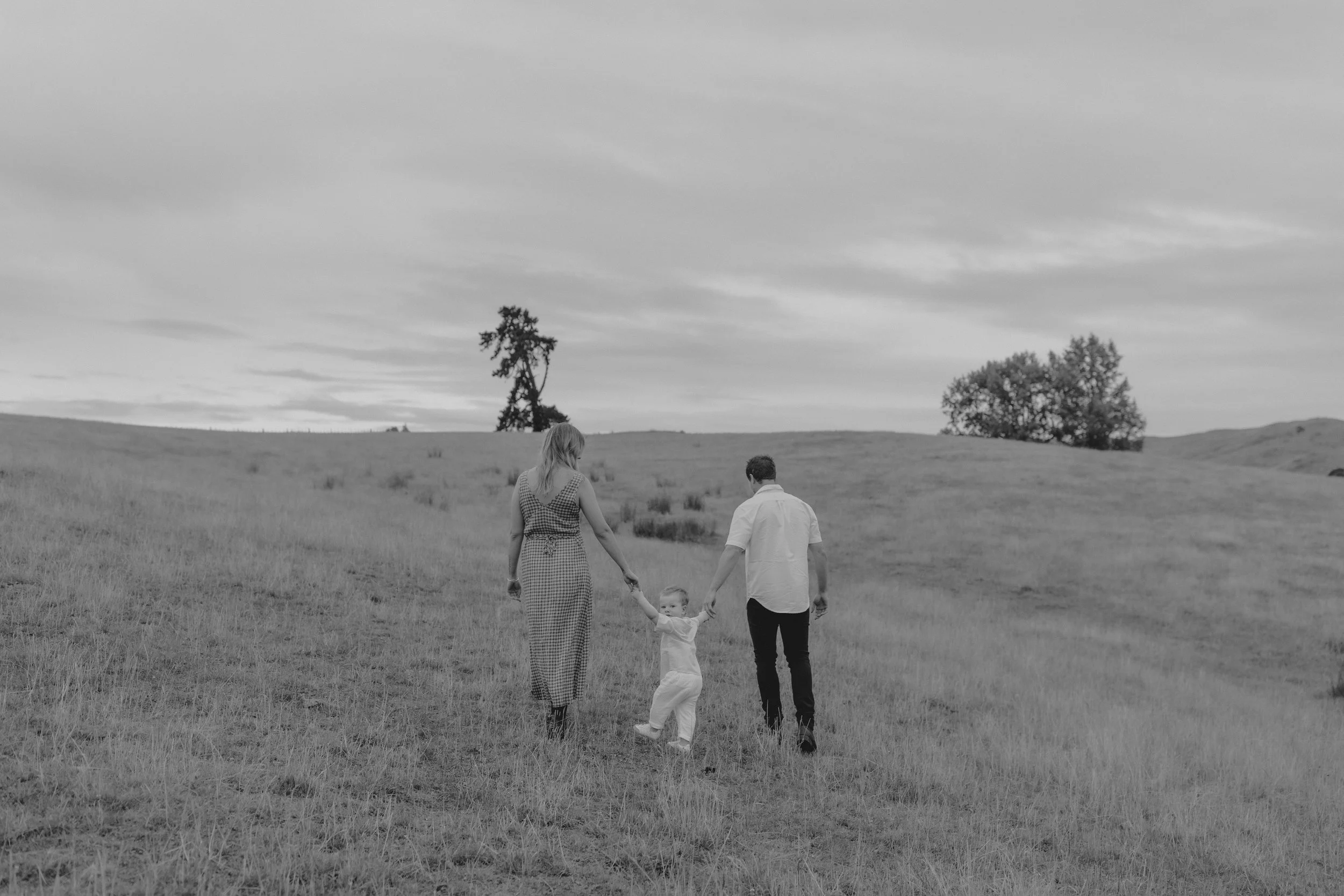 Brad, Chelsea and Louie –&nbsp;Upper Moutere