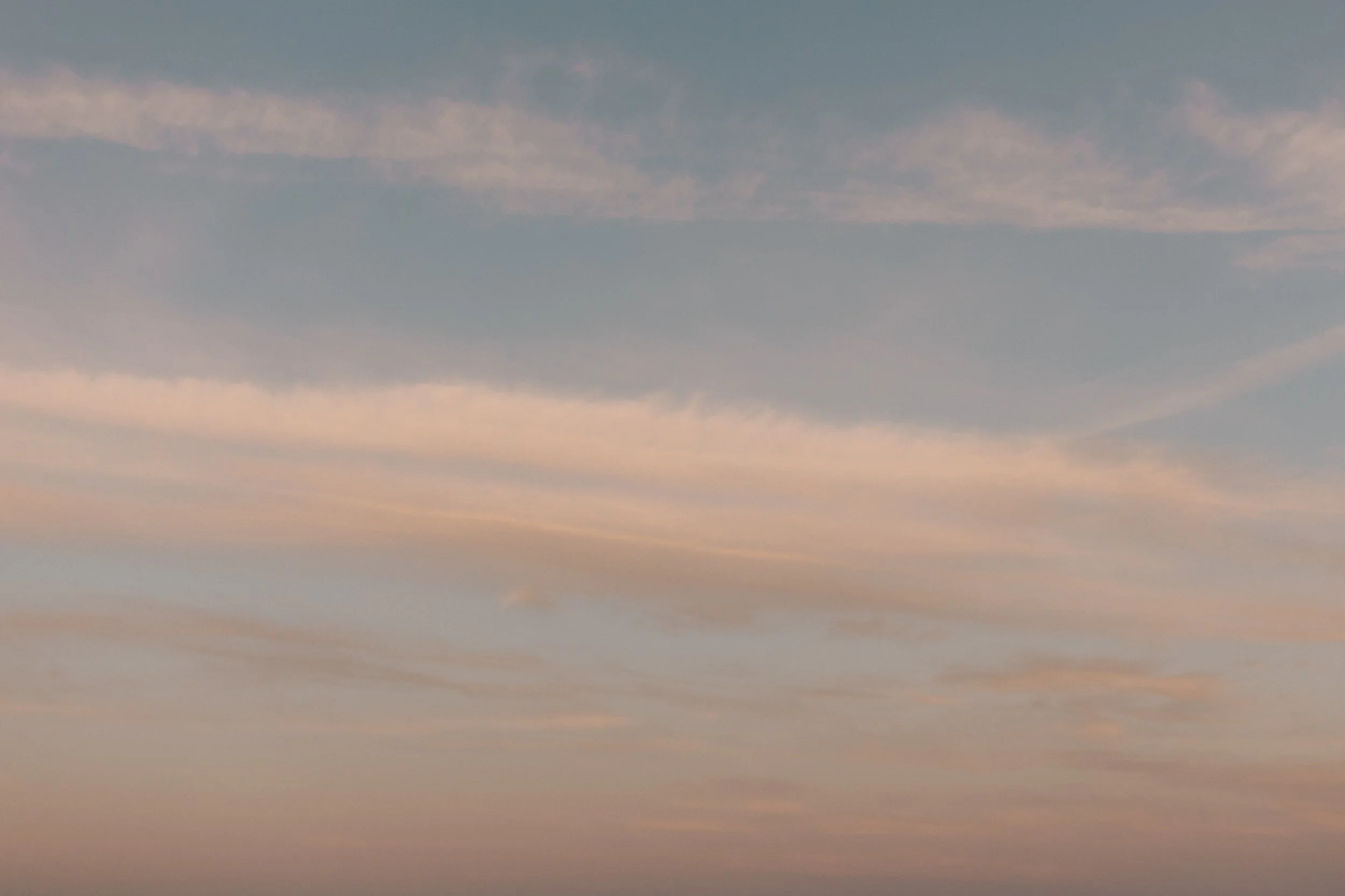 sophiemilsonphotography-124.jpg