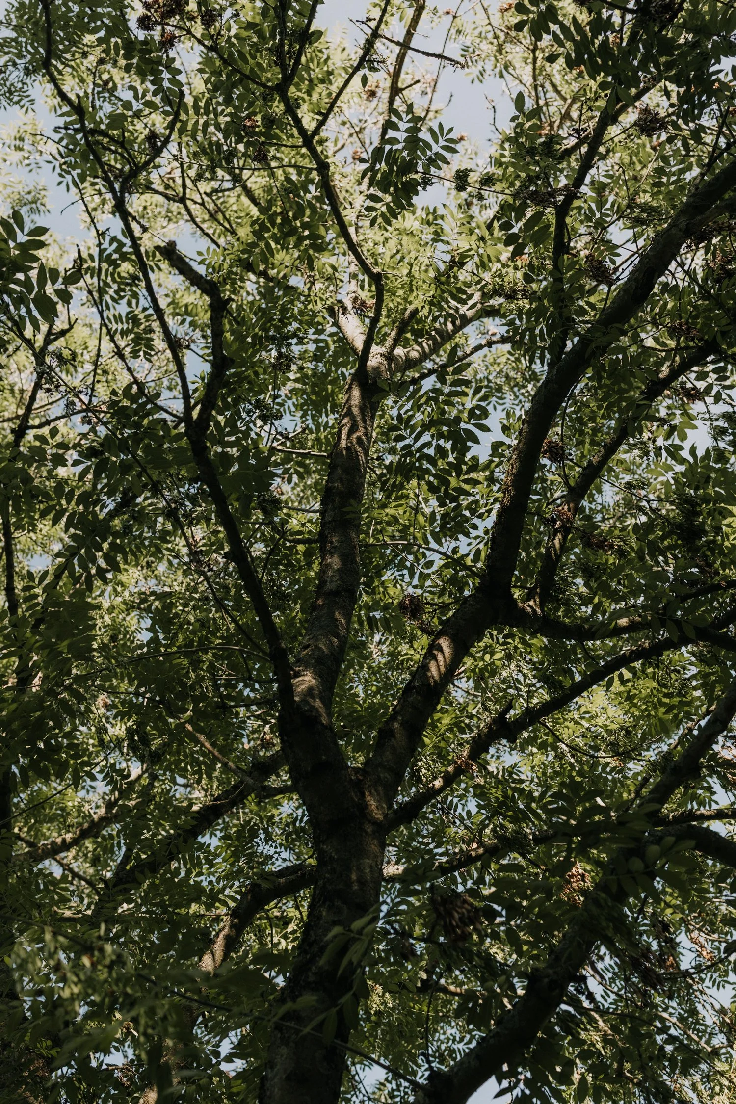 sophiemilsonphotography-1.jpg
