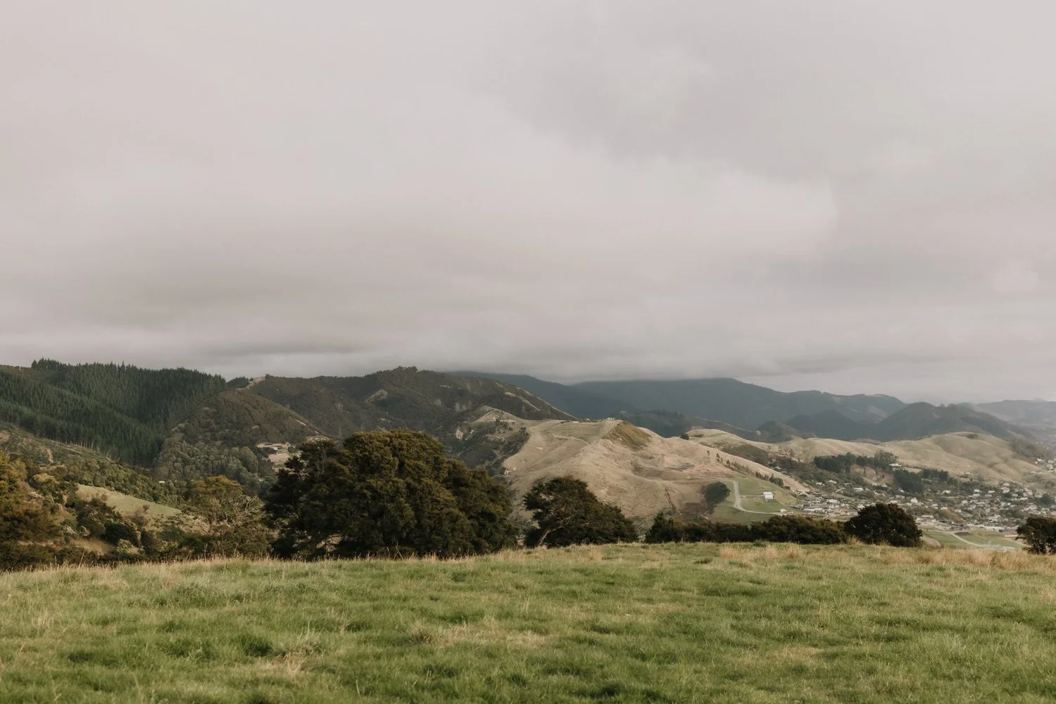 sophiemilsonphotography-1.jpg