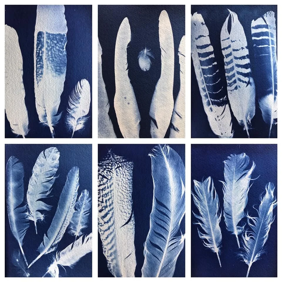 Cyanotype Printing with Karen Neal