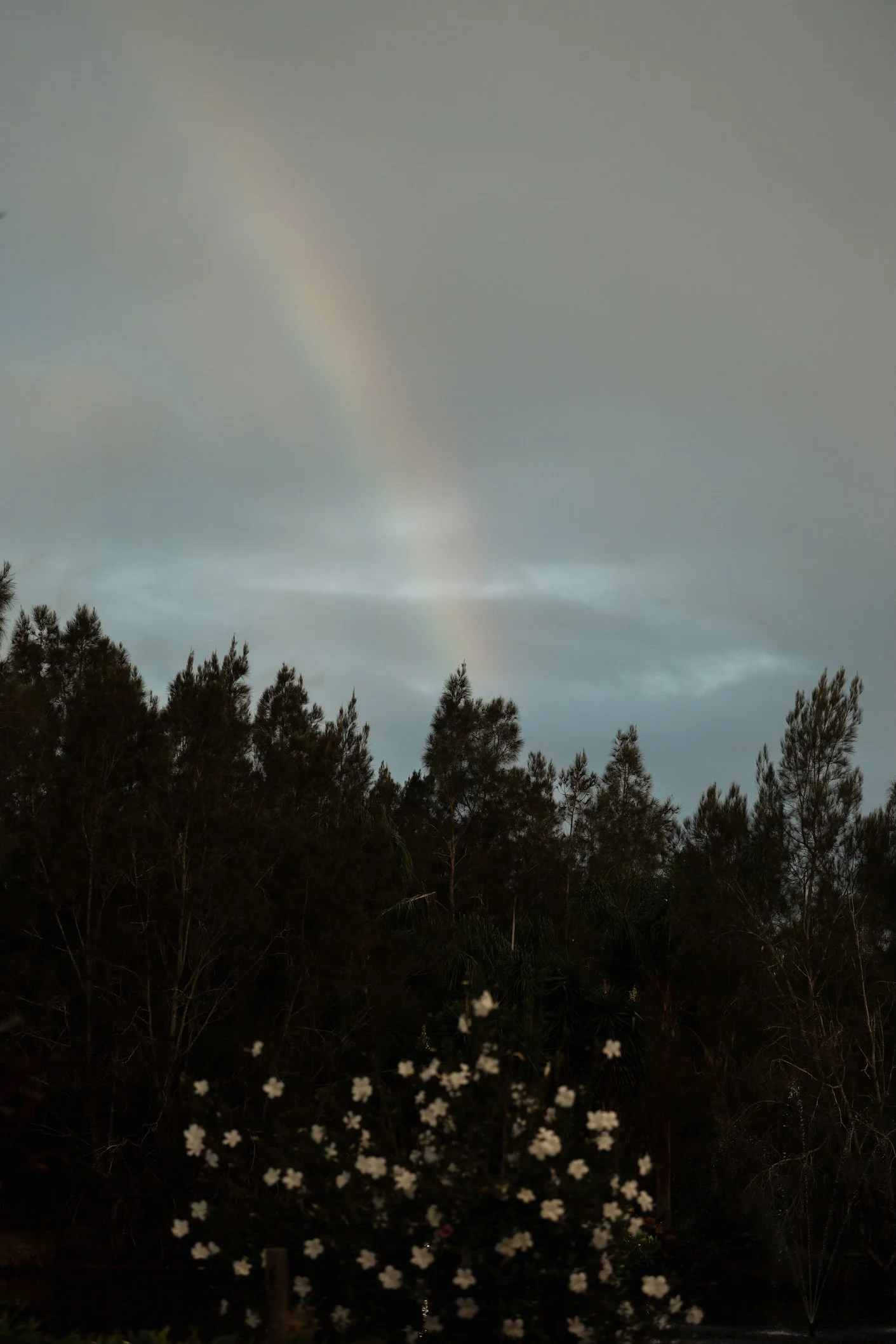 Carlie n Jonathan 00715.jpg