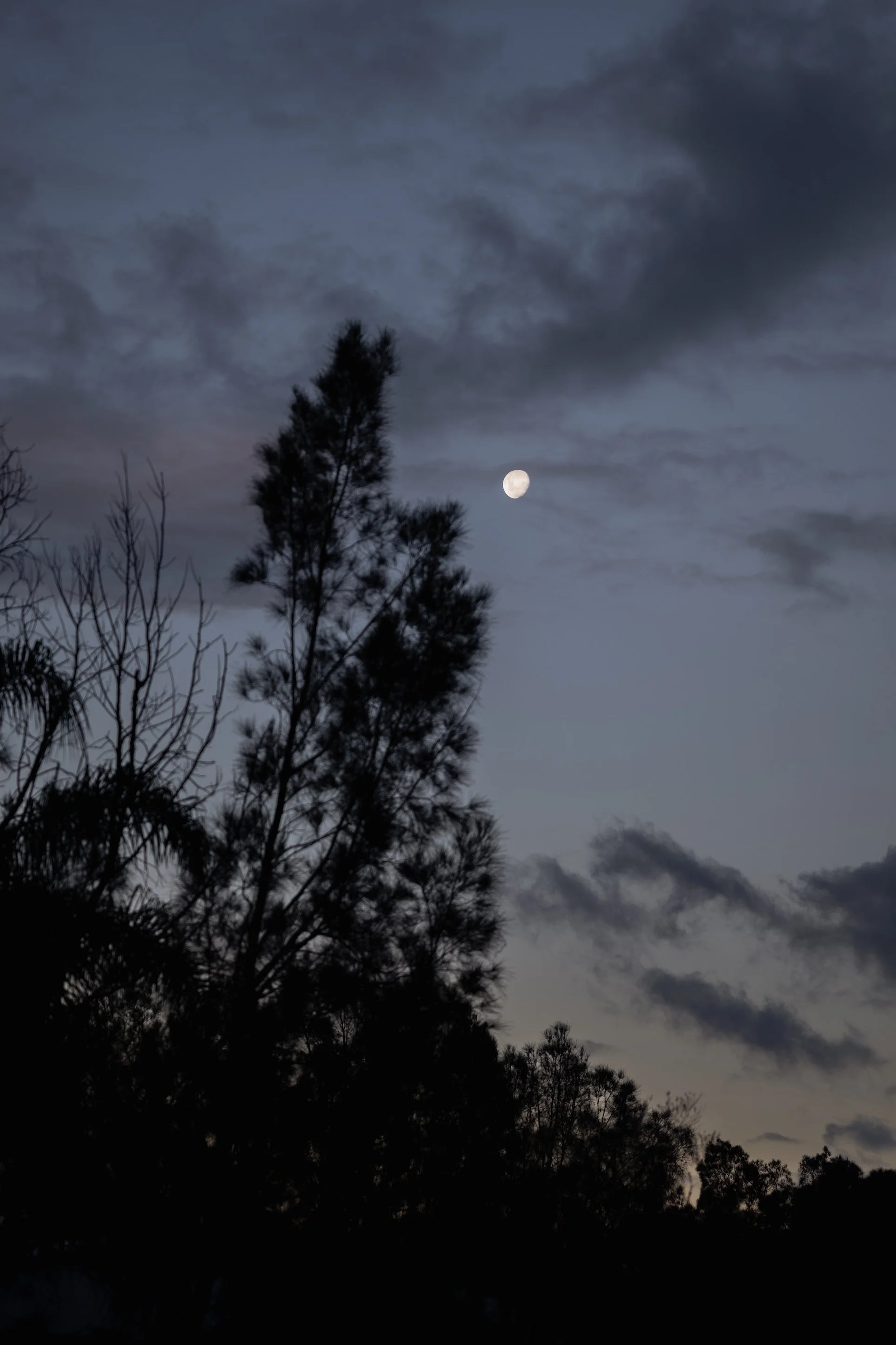 Carlie n Jonathan 00735.jpg