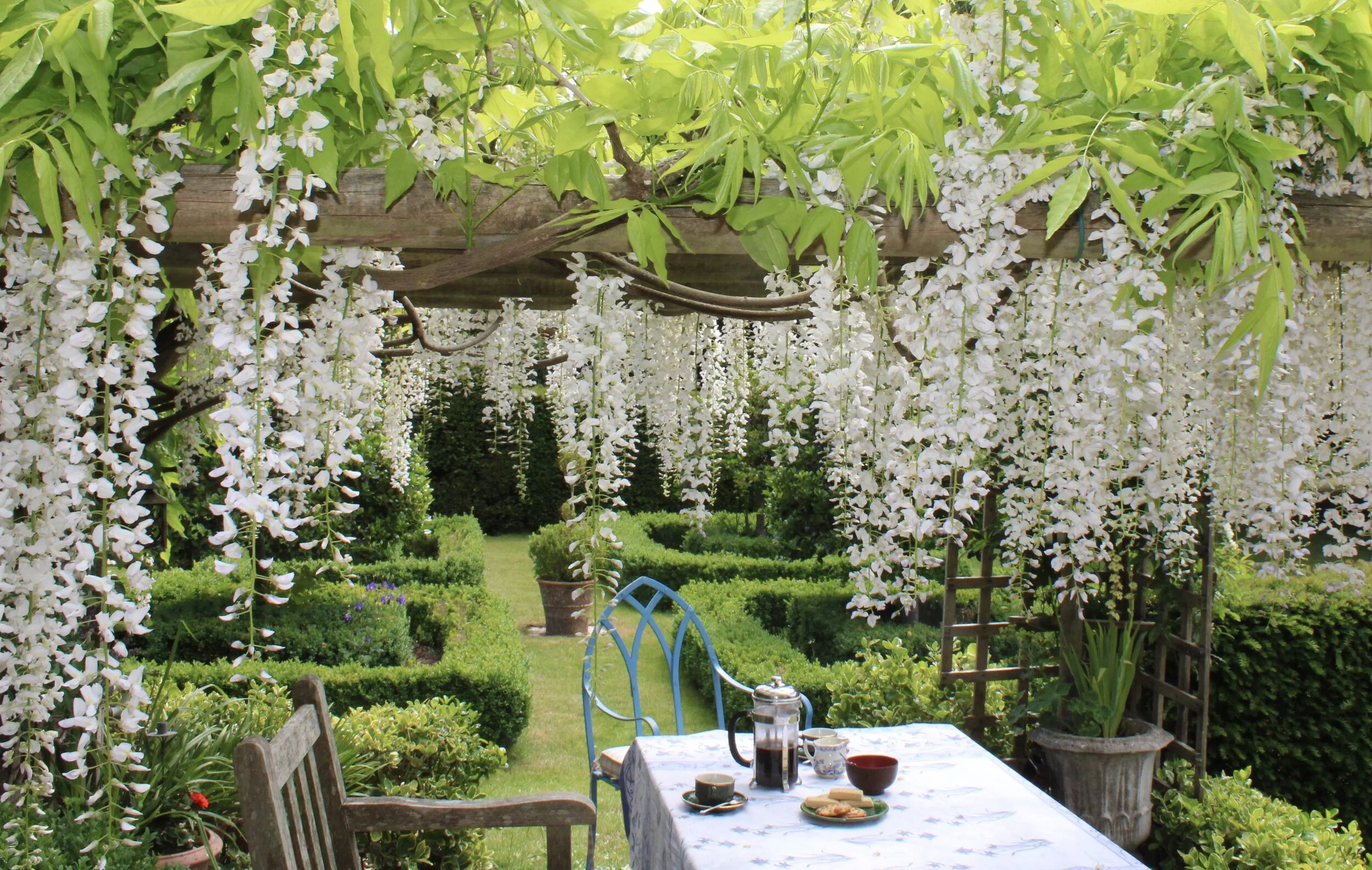 WM Wysteria Corner 5.jpeg