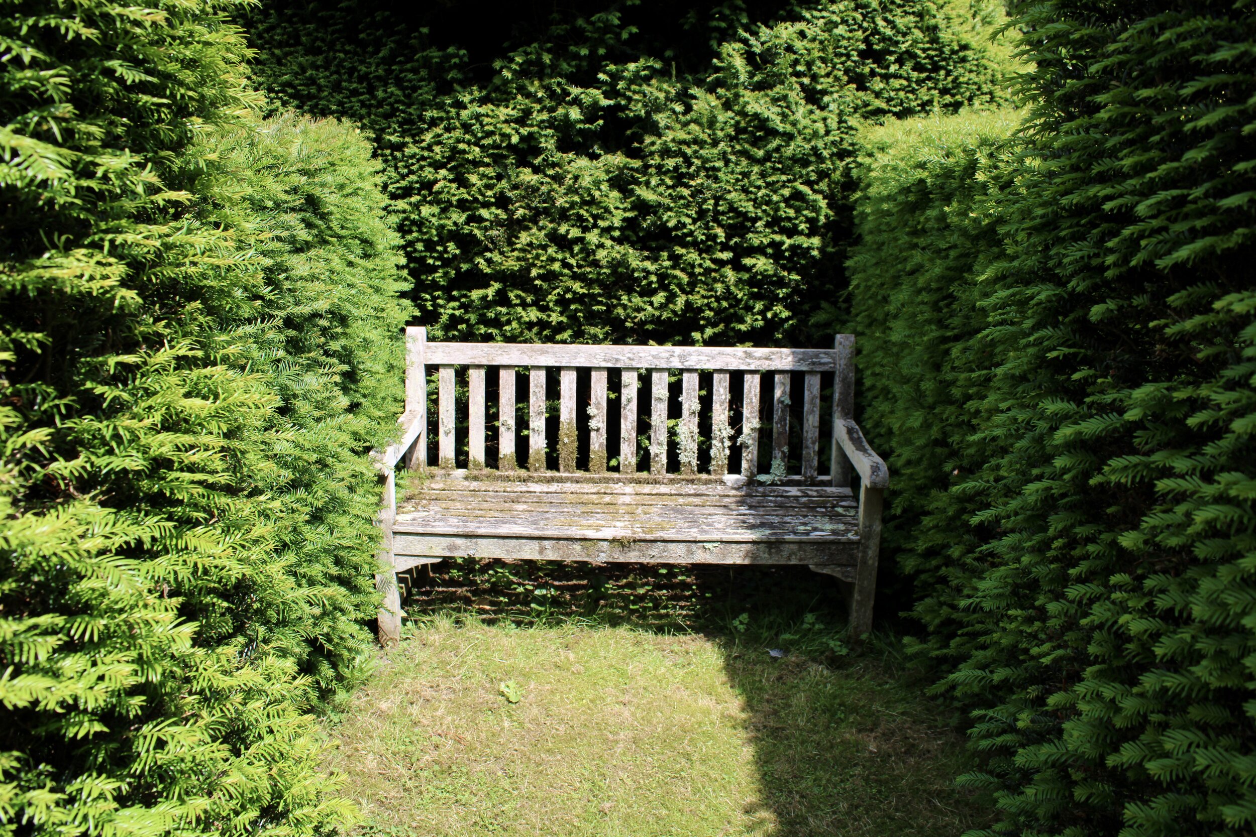 WM Formal Garden Chair.jpeg