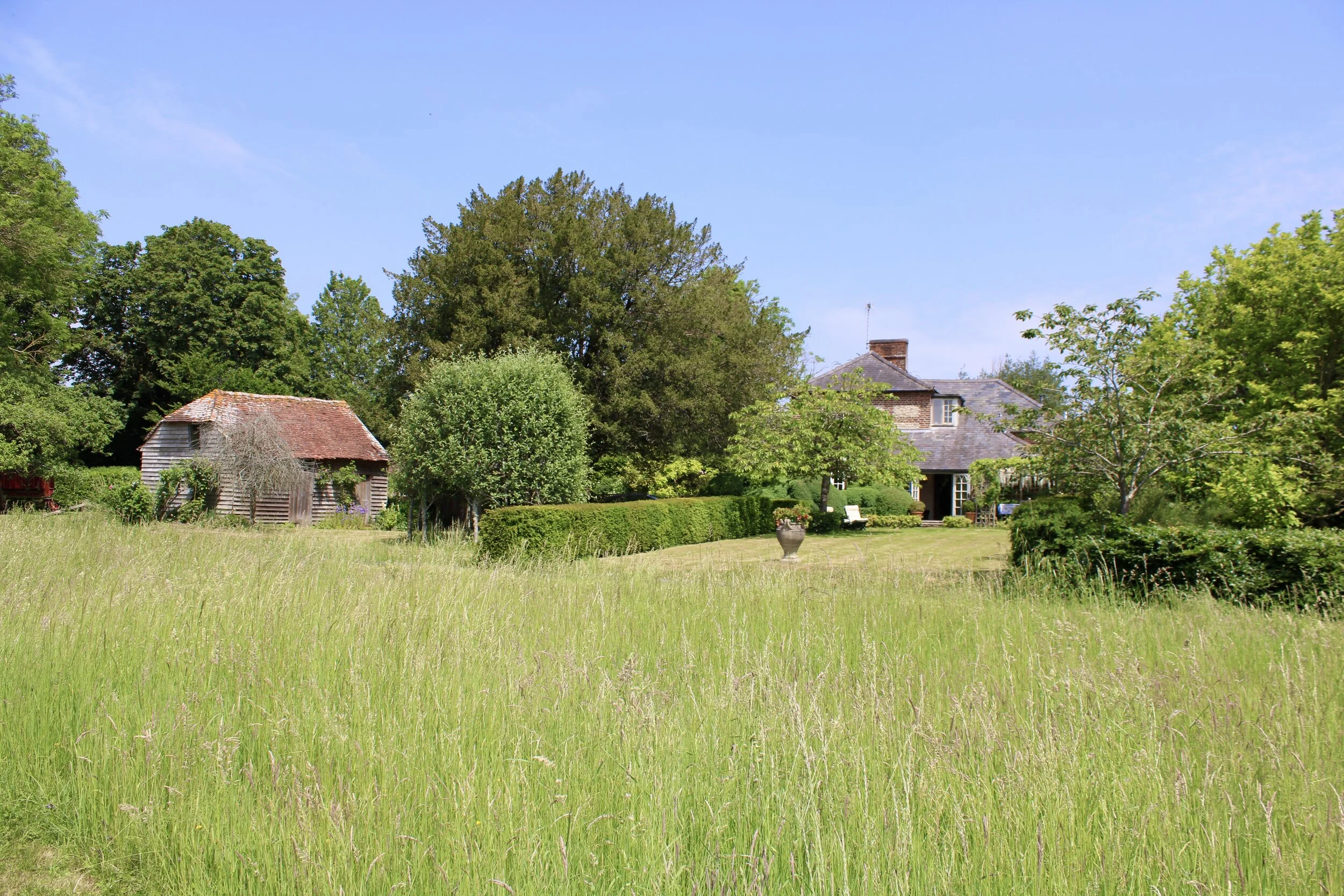 WM Meadow and Fields 7.jpeg