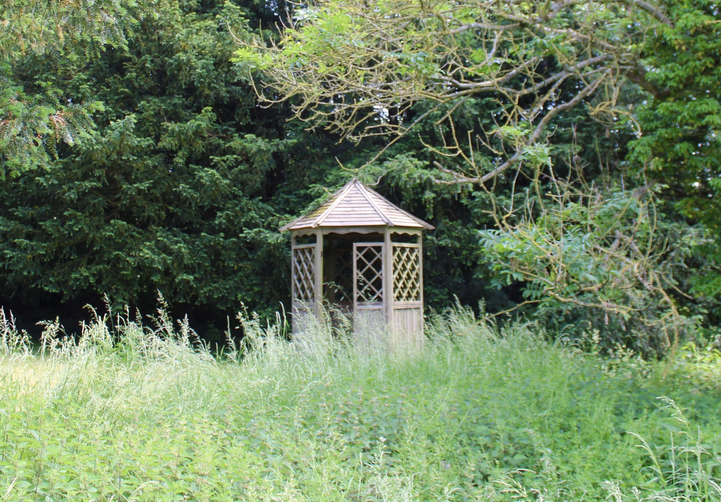 WM Pergoda Close Up.jpeg