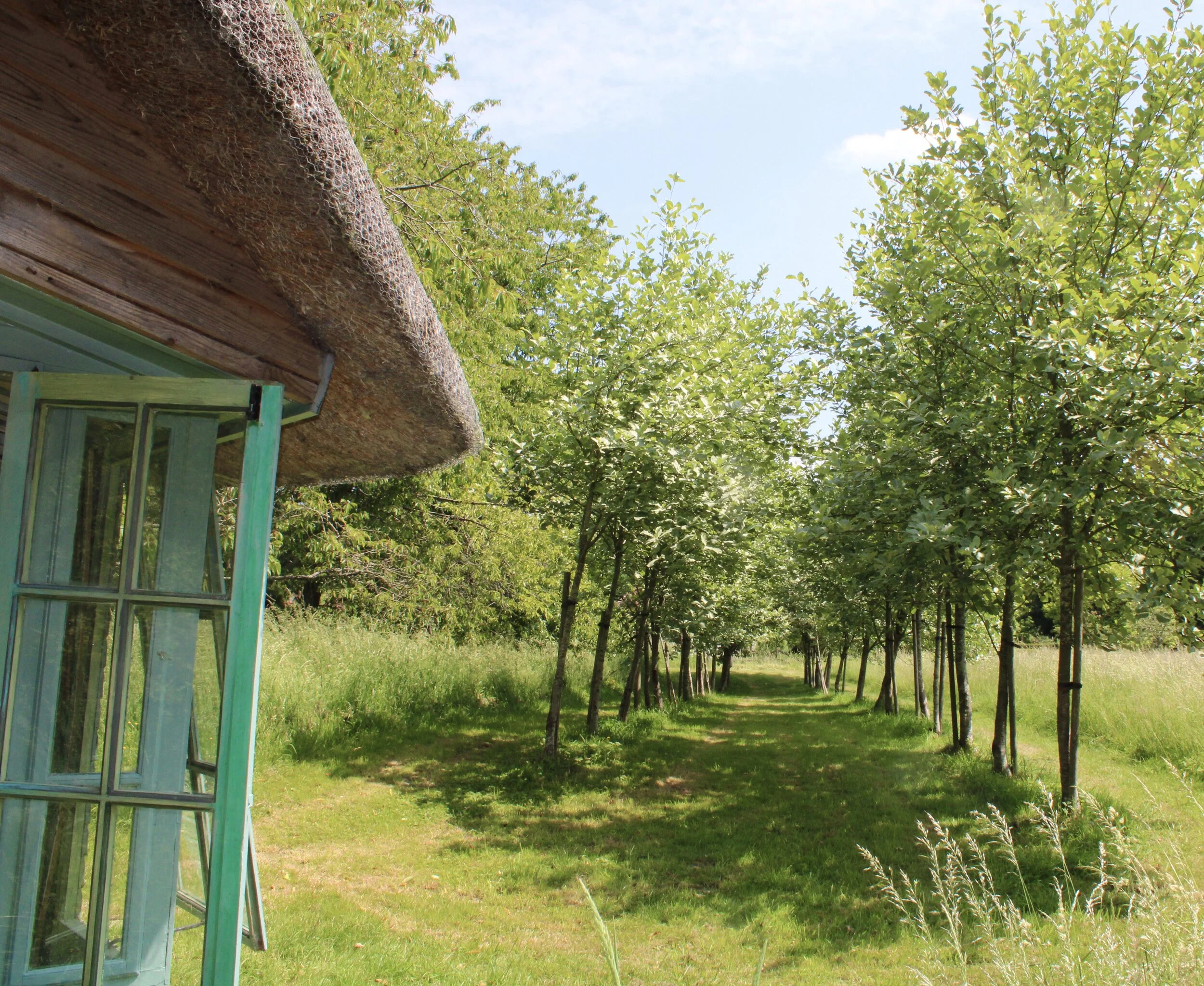 WM Stream Cabin Side.jpeg