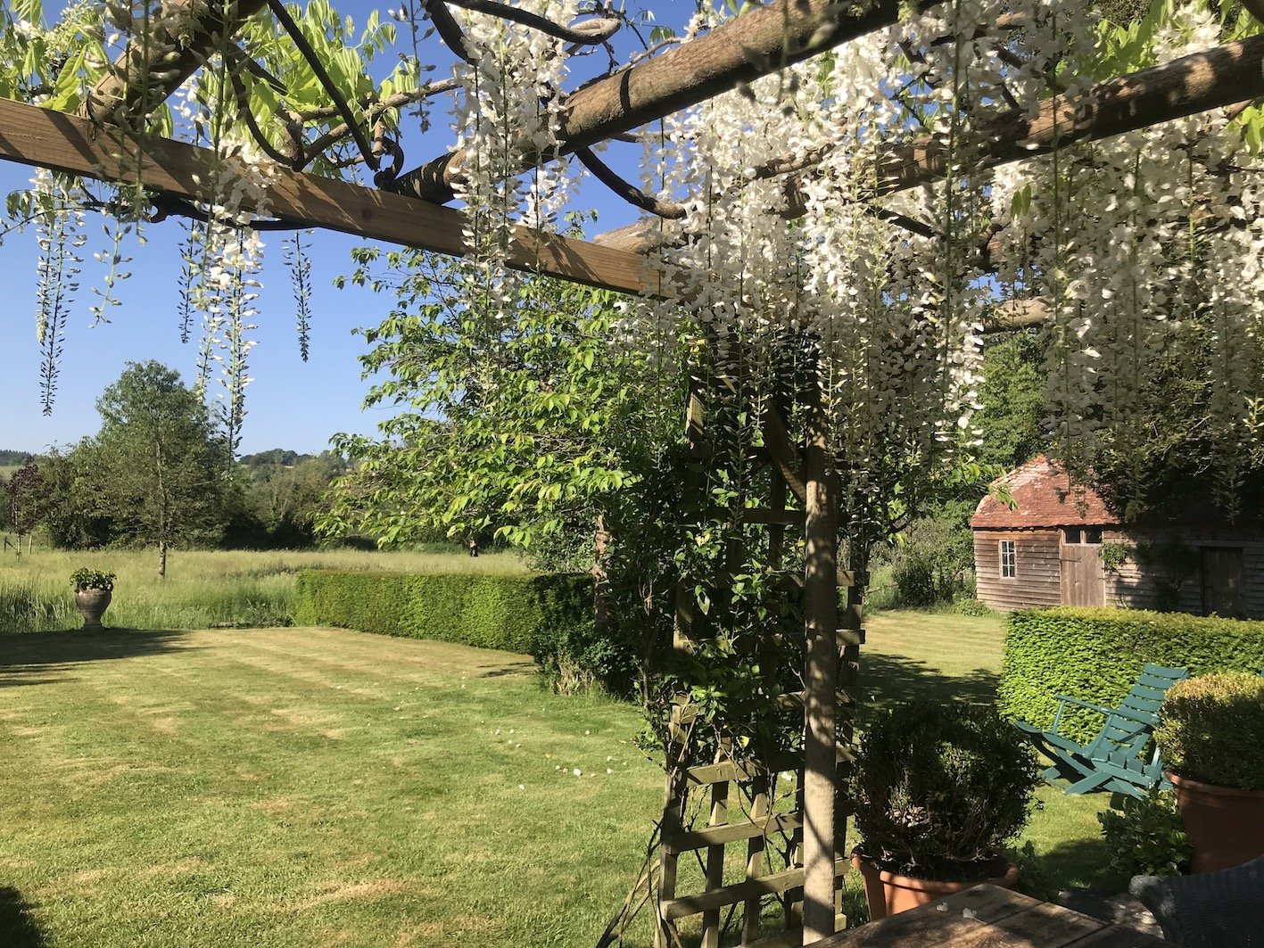 WMH garden 2.JPG