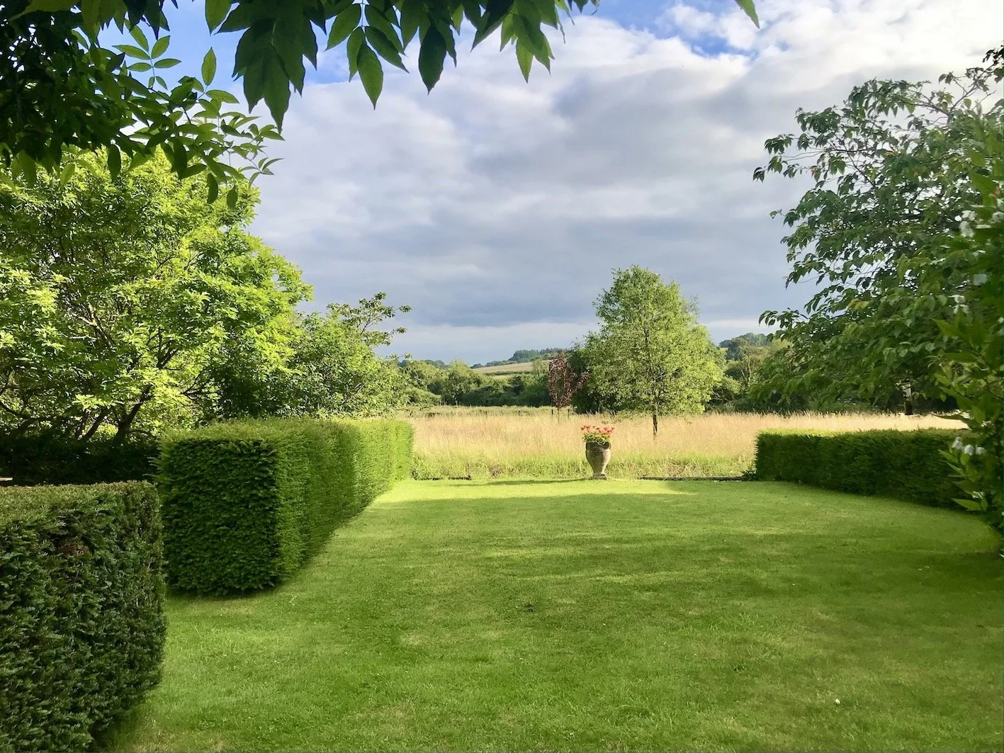 WMH garden 1.3.JPG