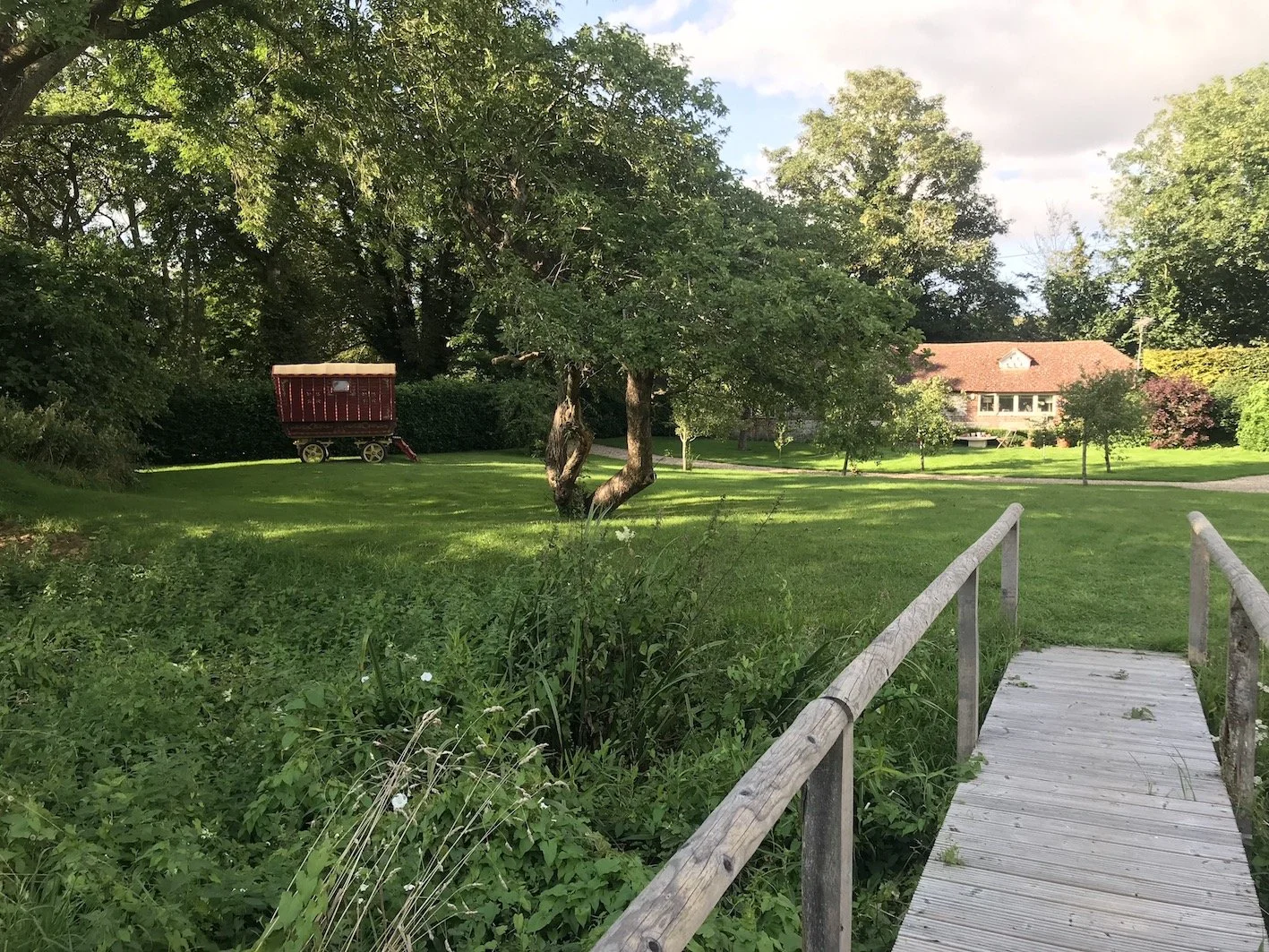 WMH garden 9.JPG