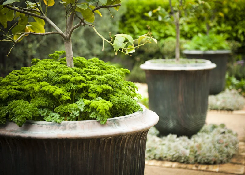 Sackville pots.jpg