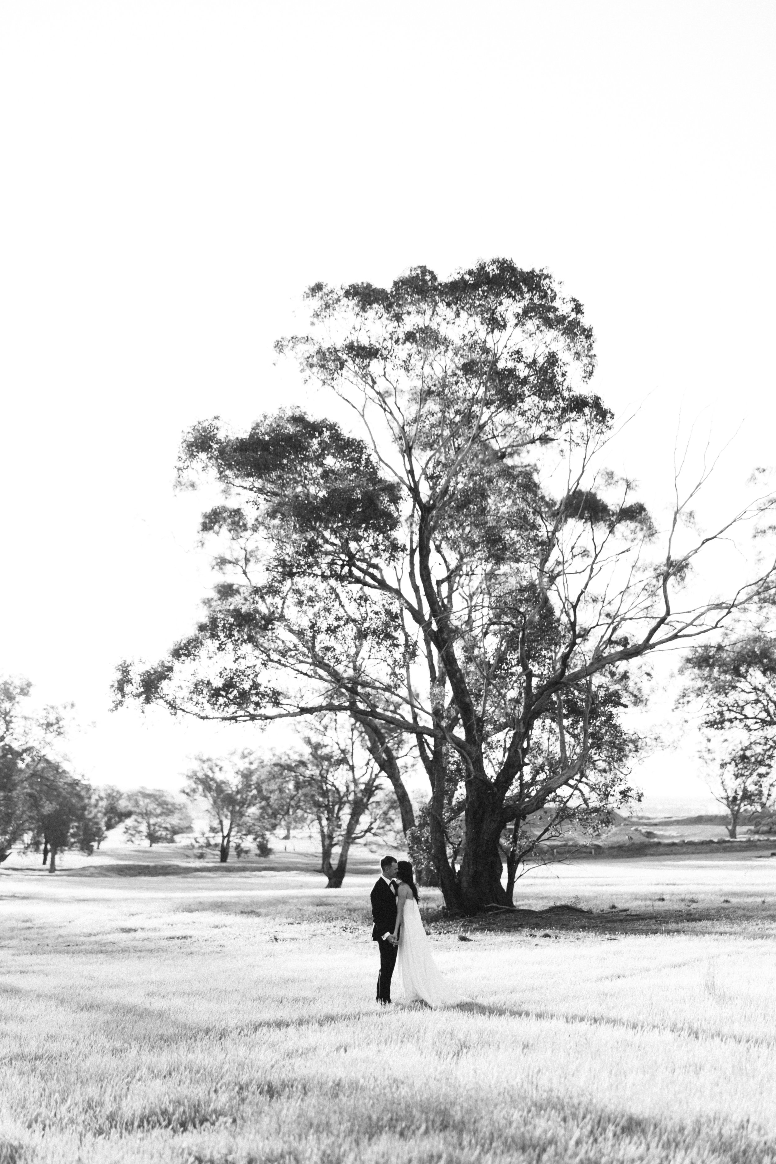 AM Photog-569.jpg