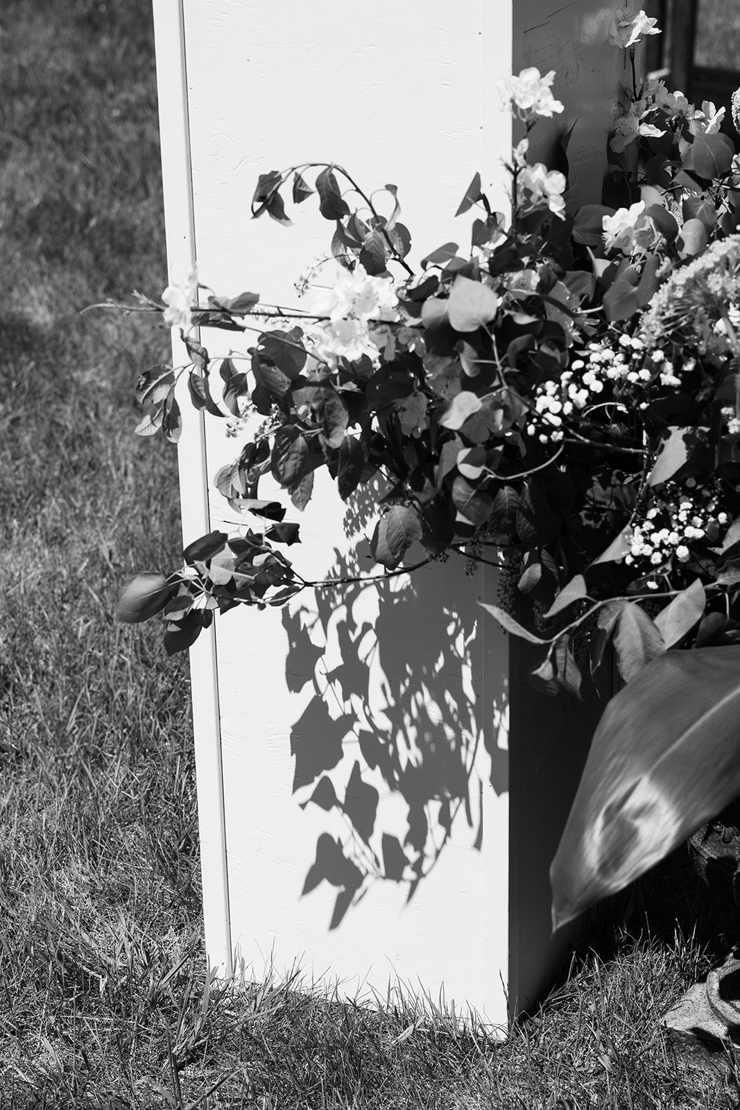 AM Photo-427.jpg