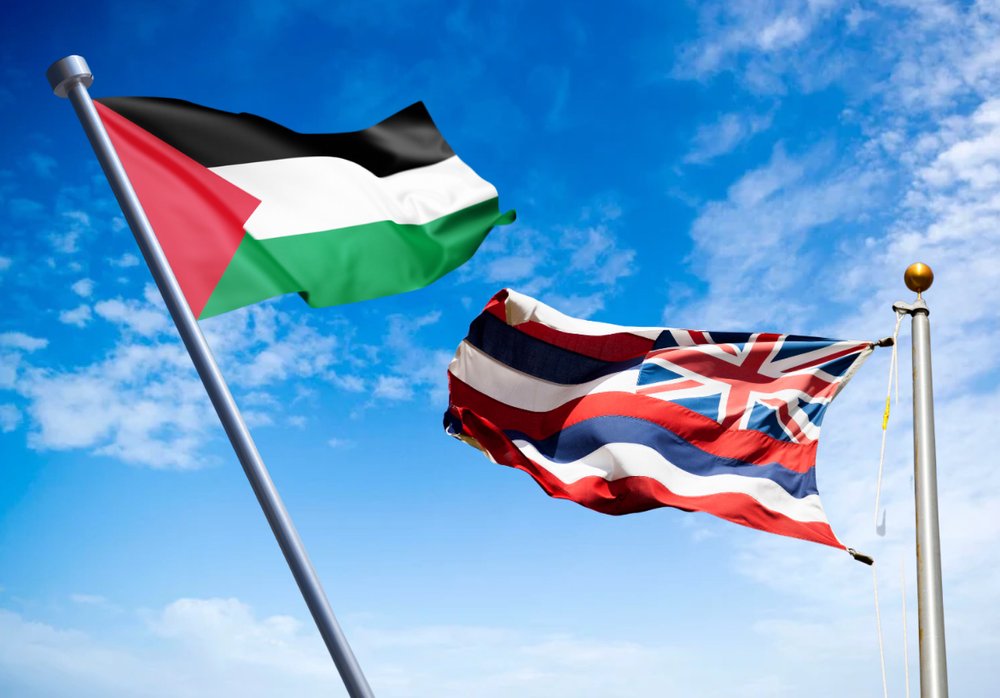  Free Palestine, free Hawaii (Flags) 