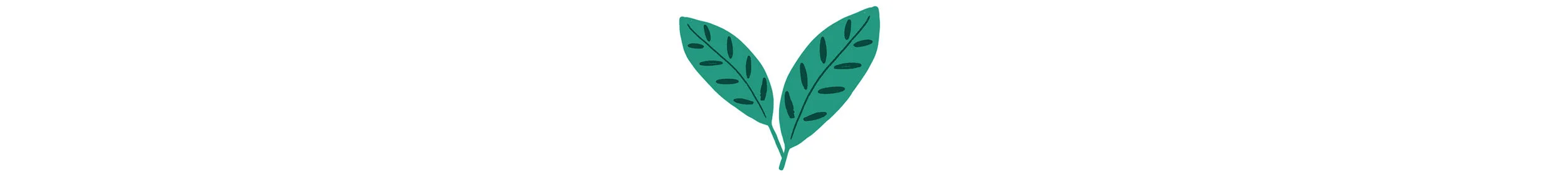 laura barnes little brand leaf.jpg