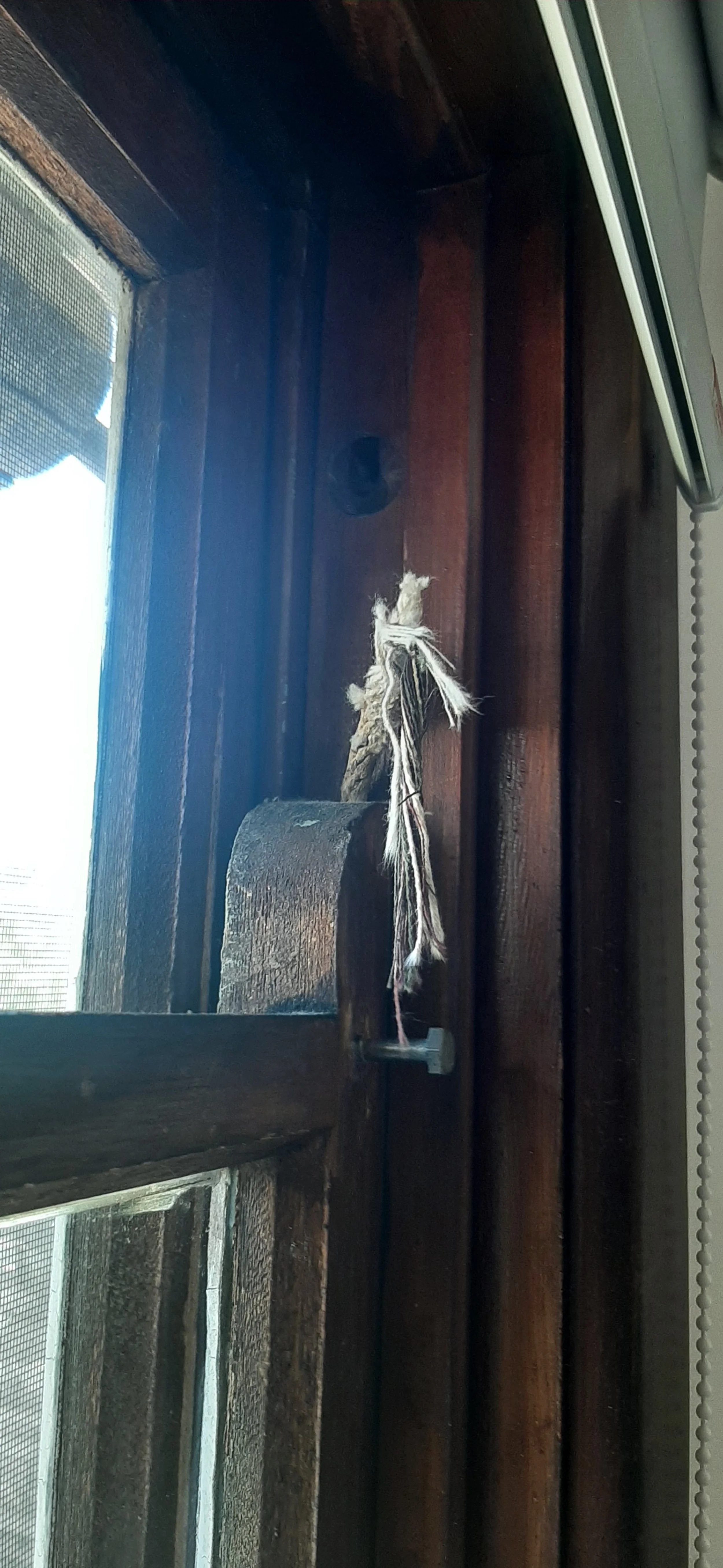 Bellevue Sash Window Repairs