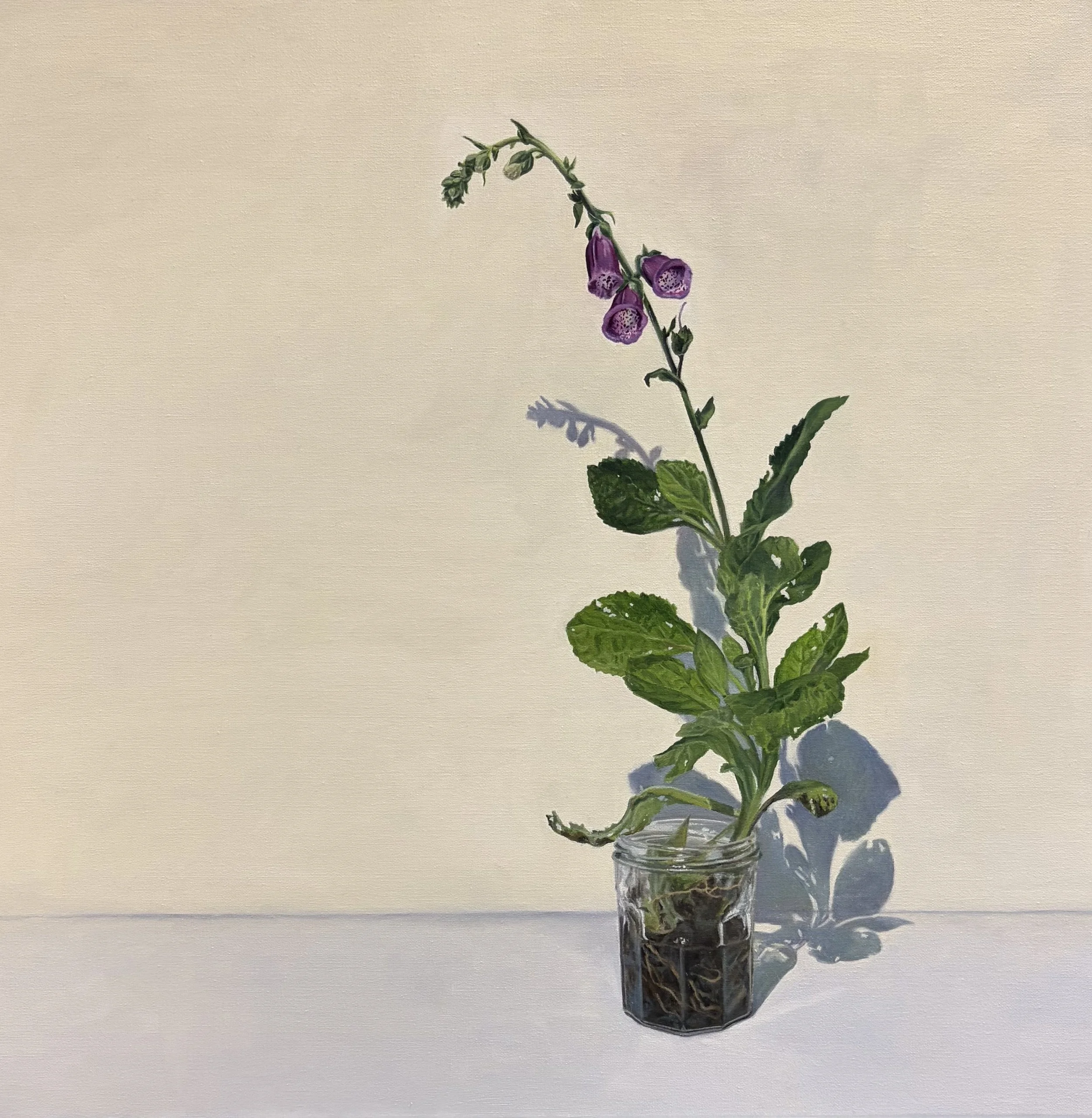Your beauty belies the danger, but our appetites remain unsatiated, oil on linen, 50 x 50cm, 2026