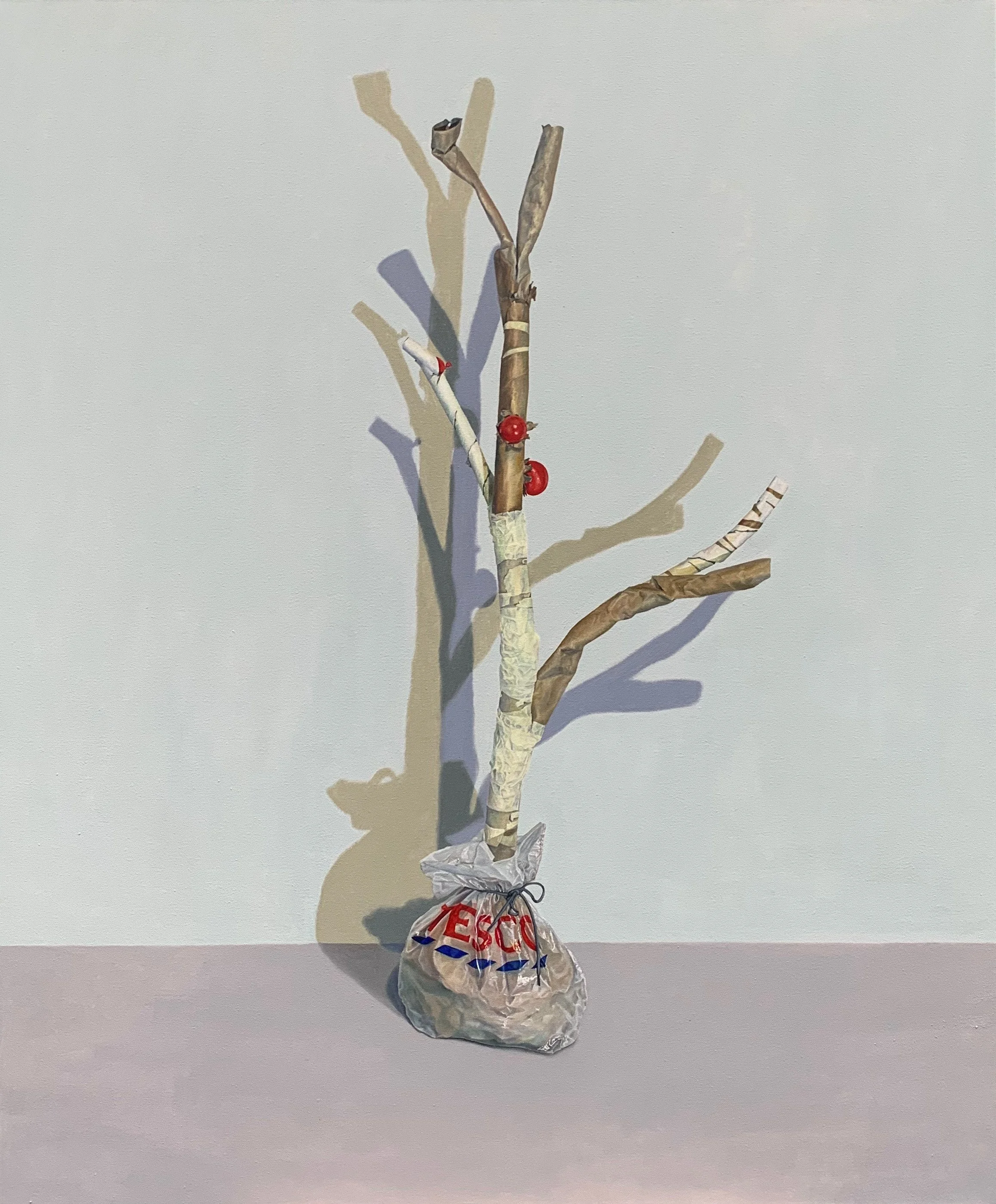 As the land was cleared a single specimen was collected for posterity, oil on canvas, 120 x 100cm, 2023 (SOLD)