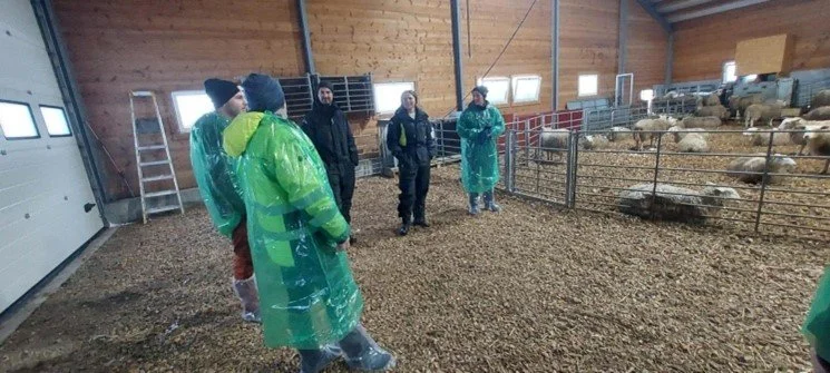  Marit Rise og Kim Botnan har storbinger med talle, utefôring i fôrhekk og kraftfôrautomater inne. Fjøset har vore i drift berre nokre år. Det har vore jobba godt med flyten i fjøset. 