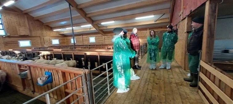  Hjå Eivind og Bernt Såstad Mjøen er det påbygd slepplaftfjøs med langsgående forbrett, der ein fôrer med både rundball og høy. Det er prøvd ut ulike golv og innredning i fjøset for å sjå skilnaden i dyrevelferd og slitasje. 