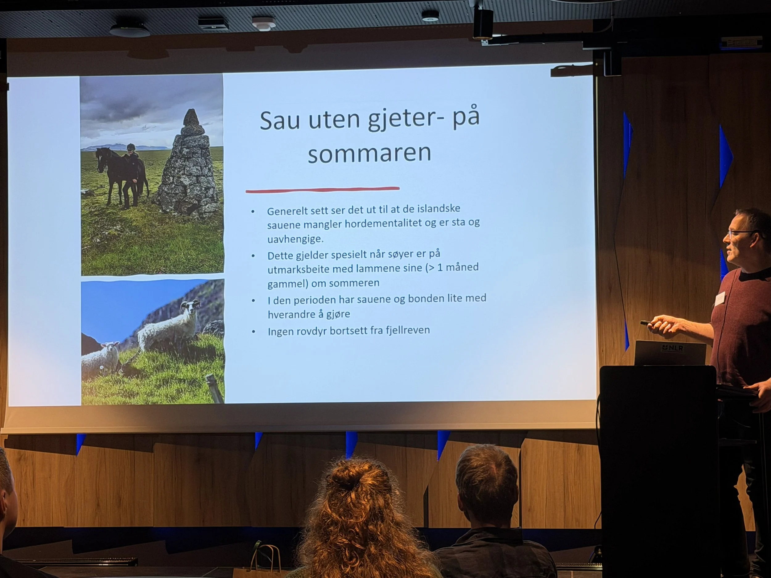  Johannes Sveinbjørnsson er sauebonde og saueforsker fra Island, og informerte om sauehold på Island. 