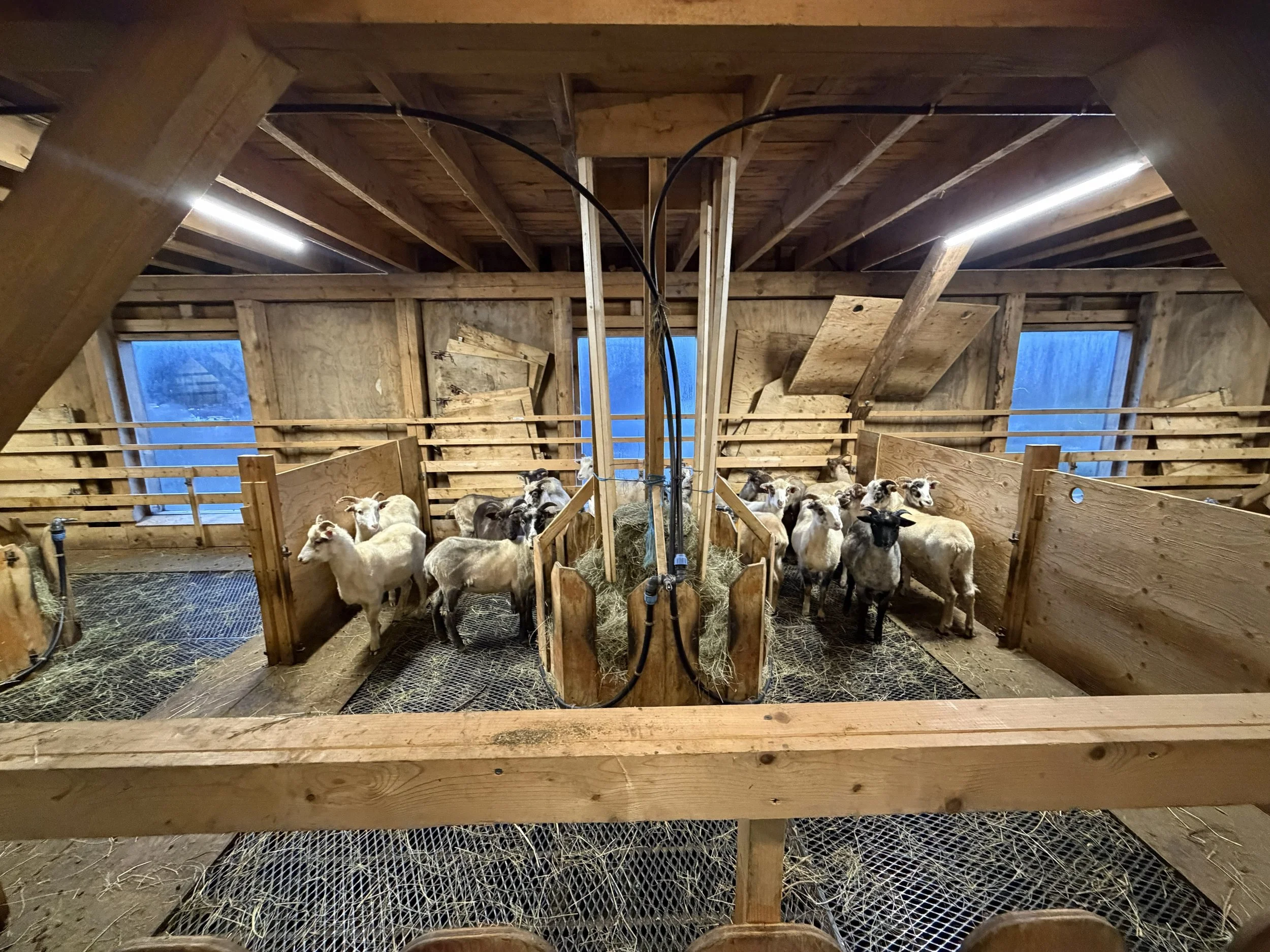  Gårdsbesøk på Styve gård. 