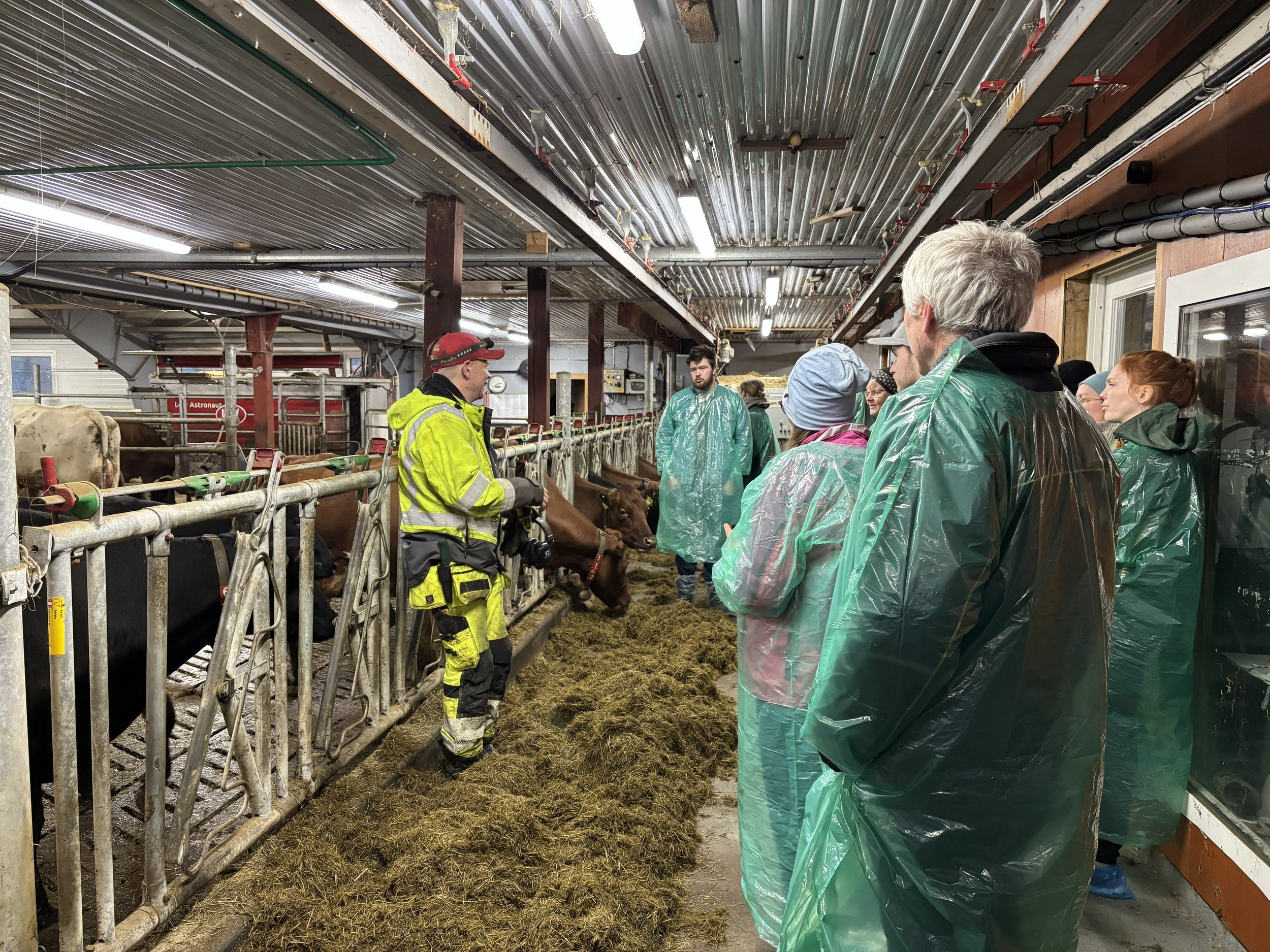  Gårdsbesøk på Almeland gård. 