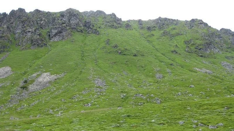 Rapport i fra unge fjellandbruksspirer på landbruksskole