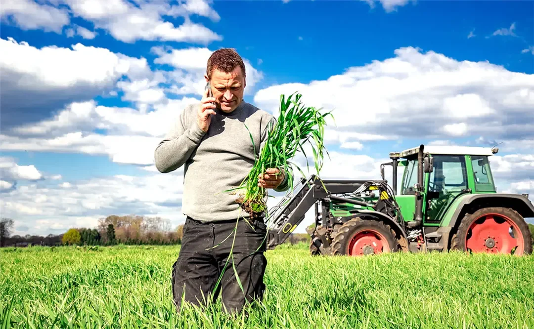 Ny fagskoleutdanning styrker kvalitetsarbeidet i norsk landbruk