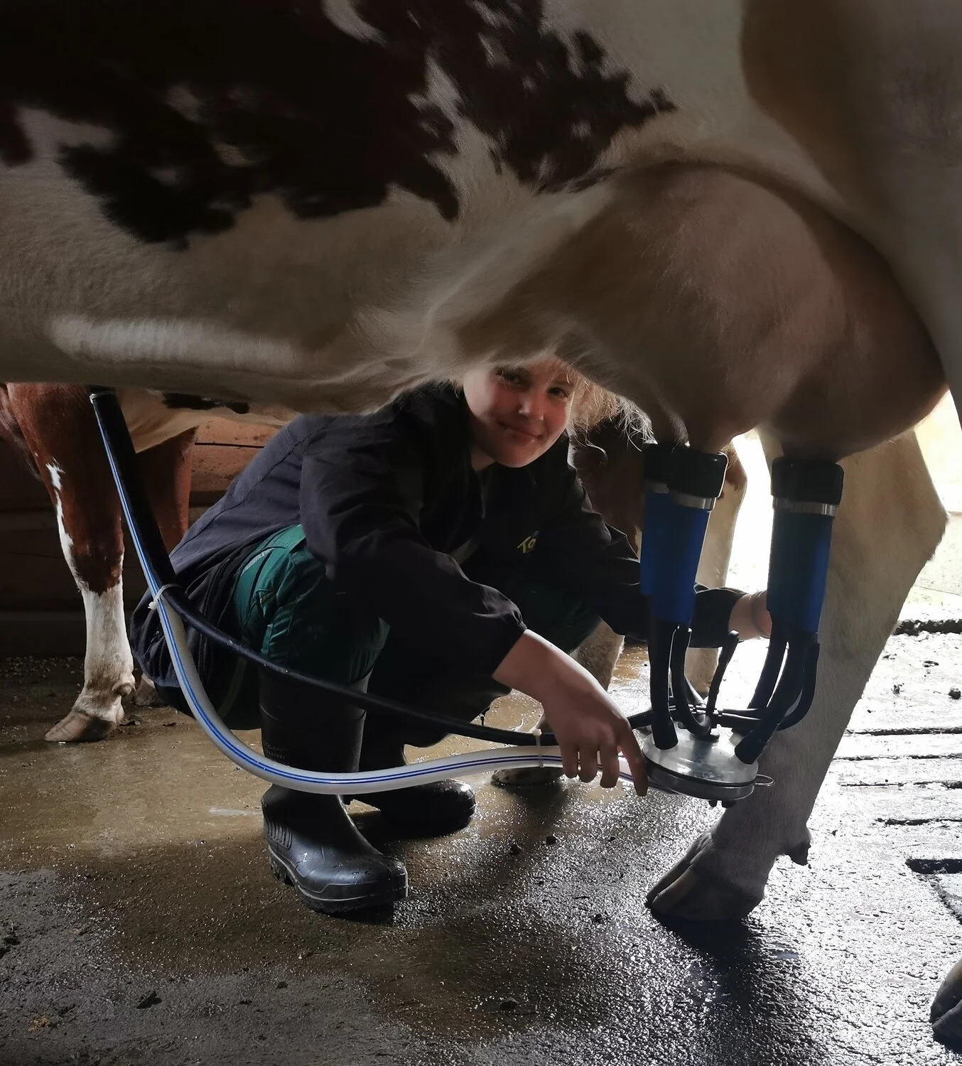 Seterkonferanse og årsmøte Norsk seterkultur 2026