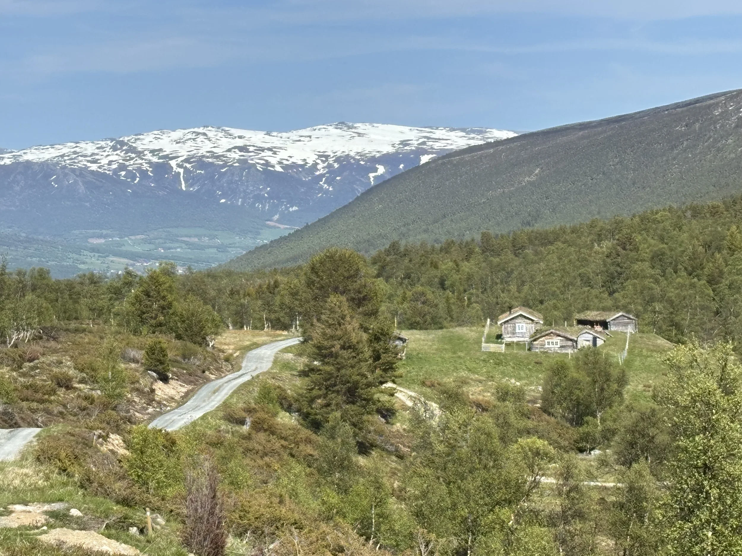 Fem prosjekt støttes med fjellandbruksmidler i 2026