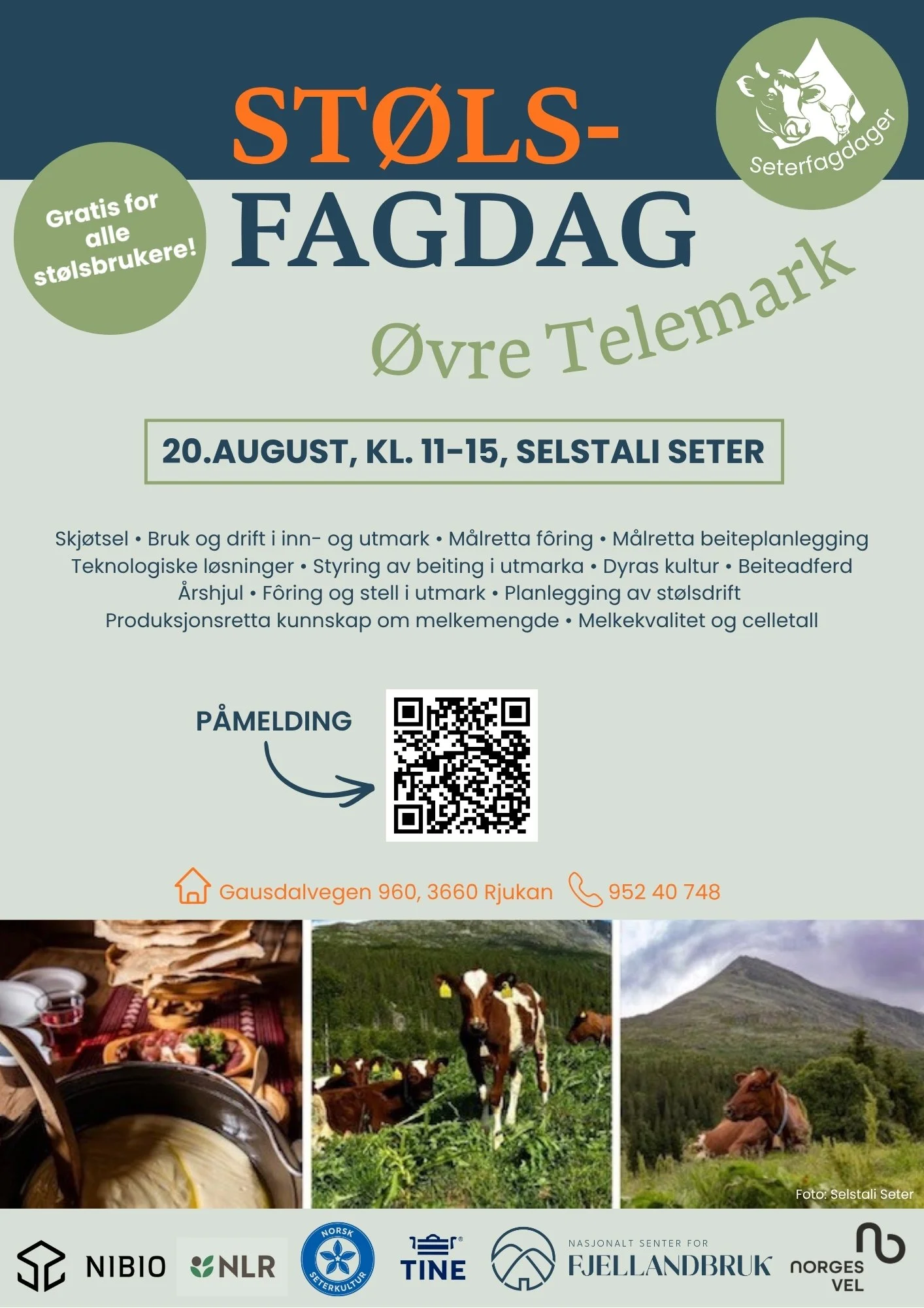 Seterfagdag Øvre Telemark
