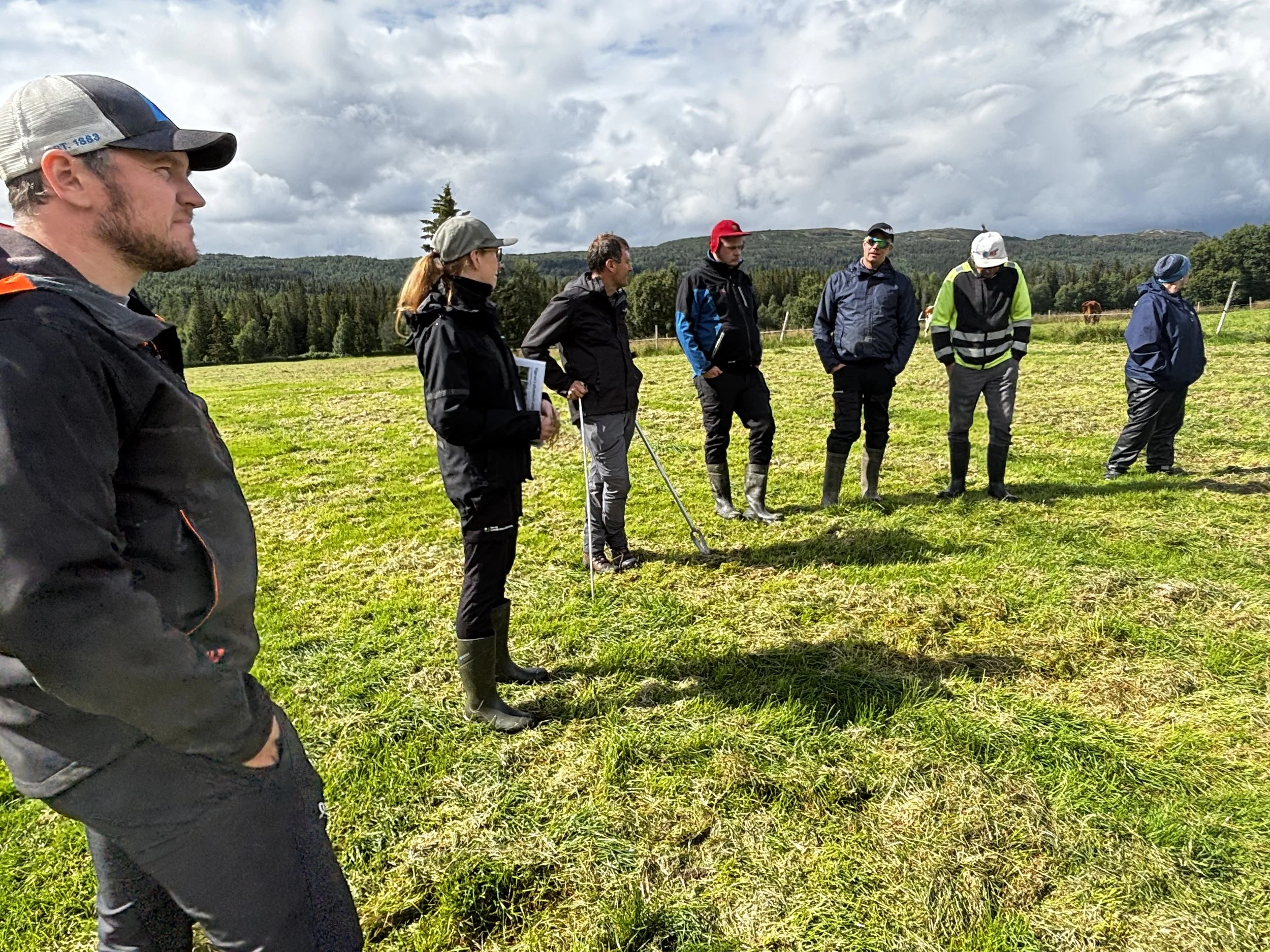 NLR rådgiver Marit Isabel Arnstad tok oss med på ei engvandring på beitene på setra.